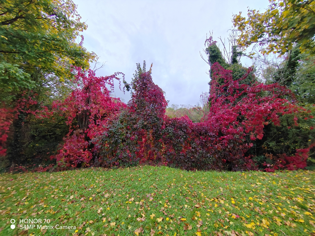 pimg-srchttpsiforum-dechihonorcomfrdataimages10000202210136cbf63e2