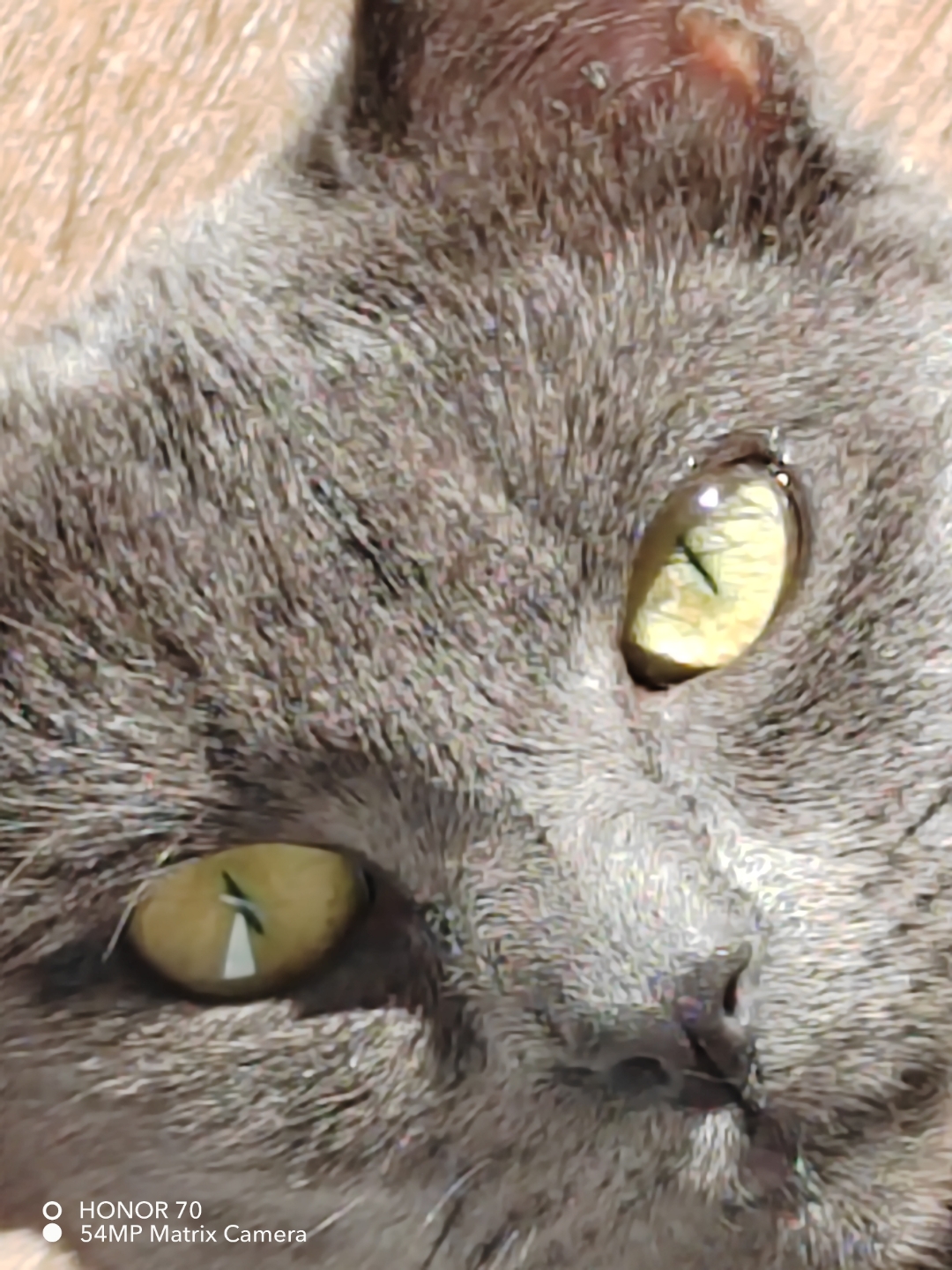 pimg-srchttpsiforum-dechihonorcomfrdataimages1000020221021320d258e