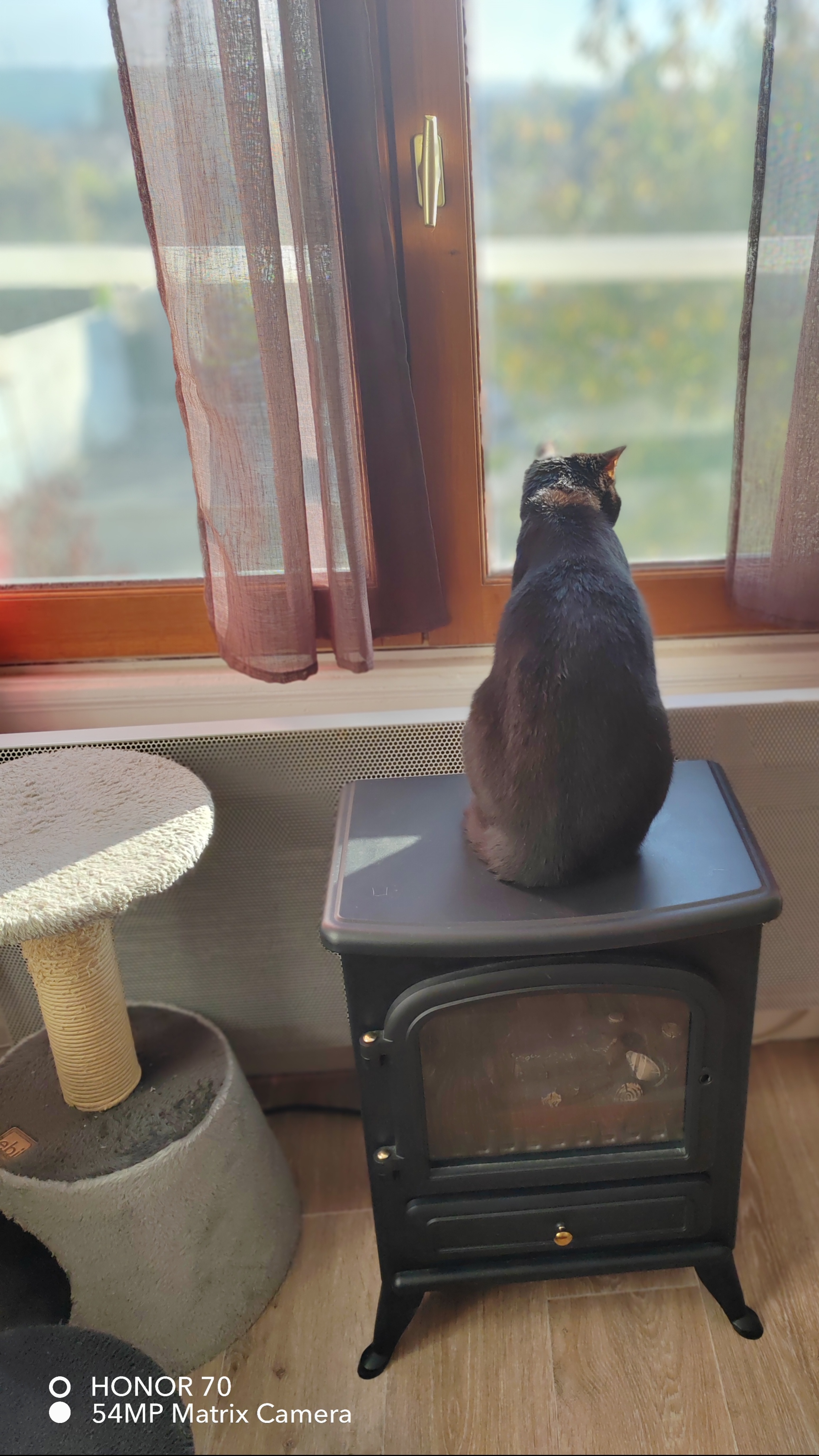 pimg-srchttpsiforum-dechihonorcomfrdataimages10000202211136eea2a92