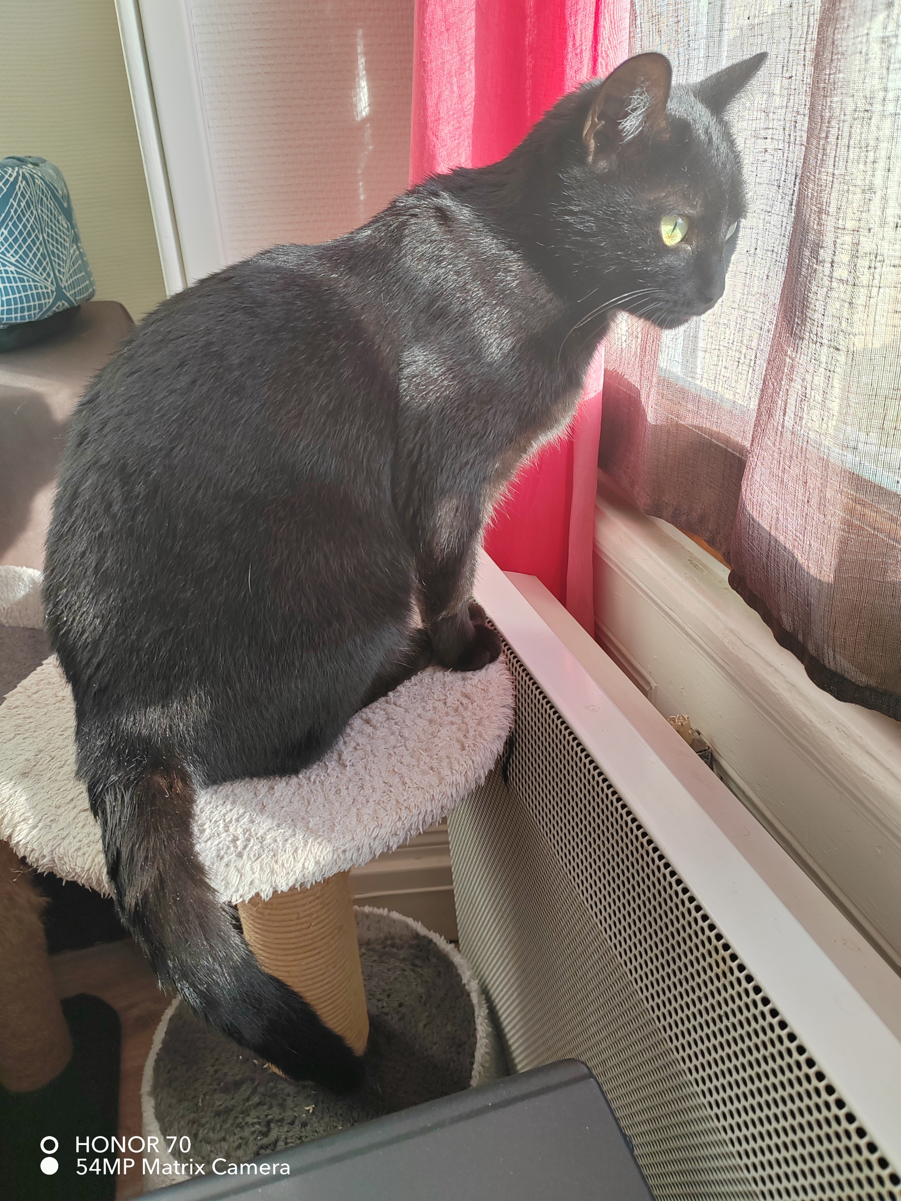 pimg-srchttpsiforum-dechihonorcomfrdataimages10000202211136eea2a92