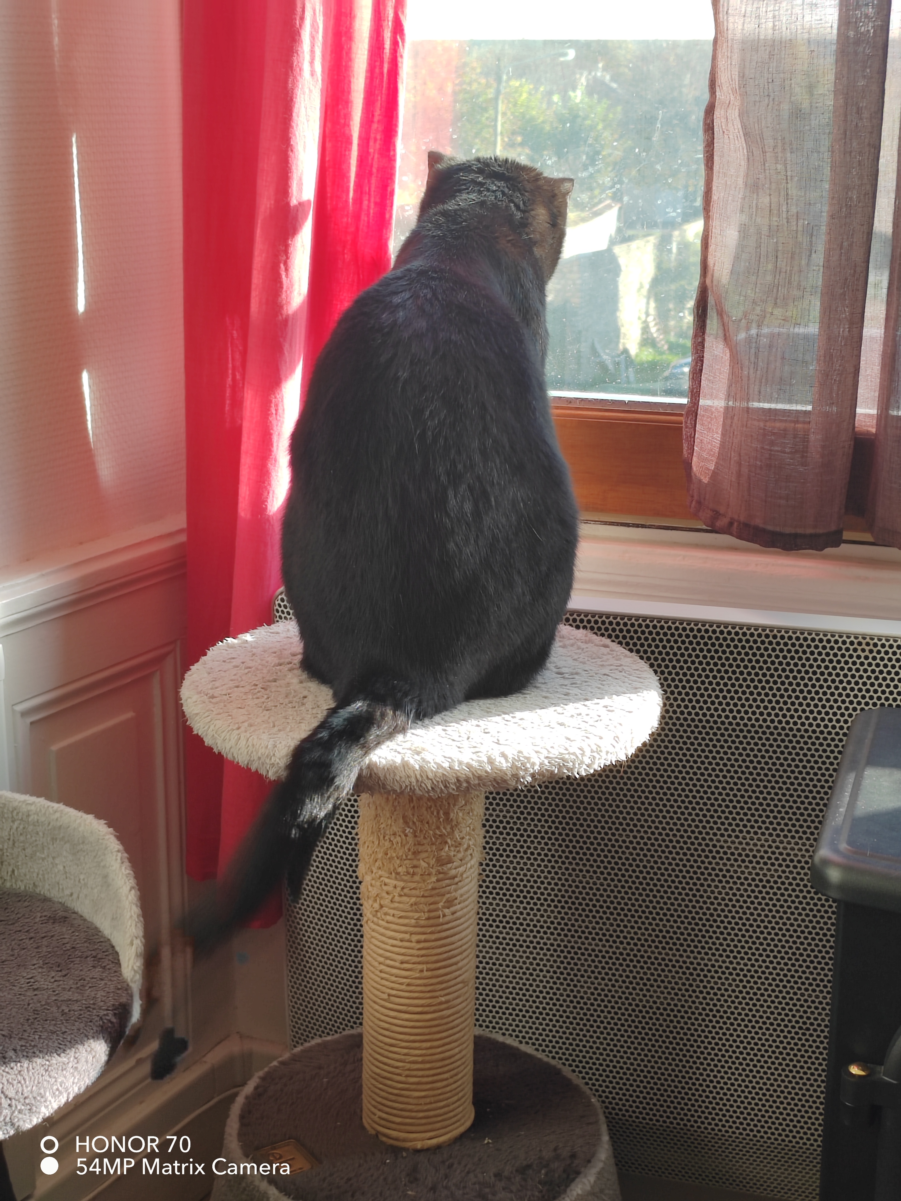 pimg-srchttpsiforum-dechihonorcomfrdataimages10000202211136eea2a92