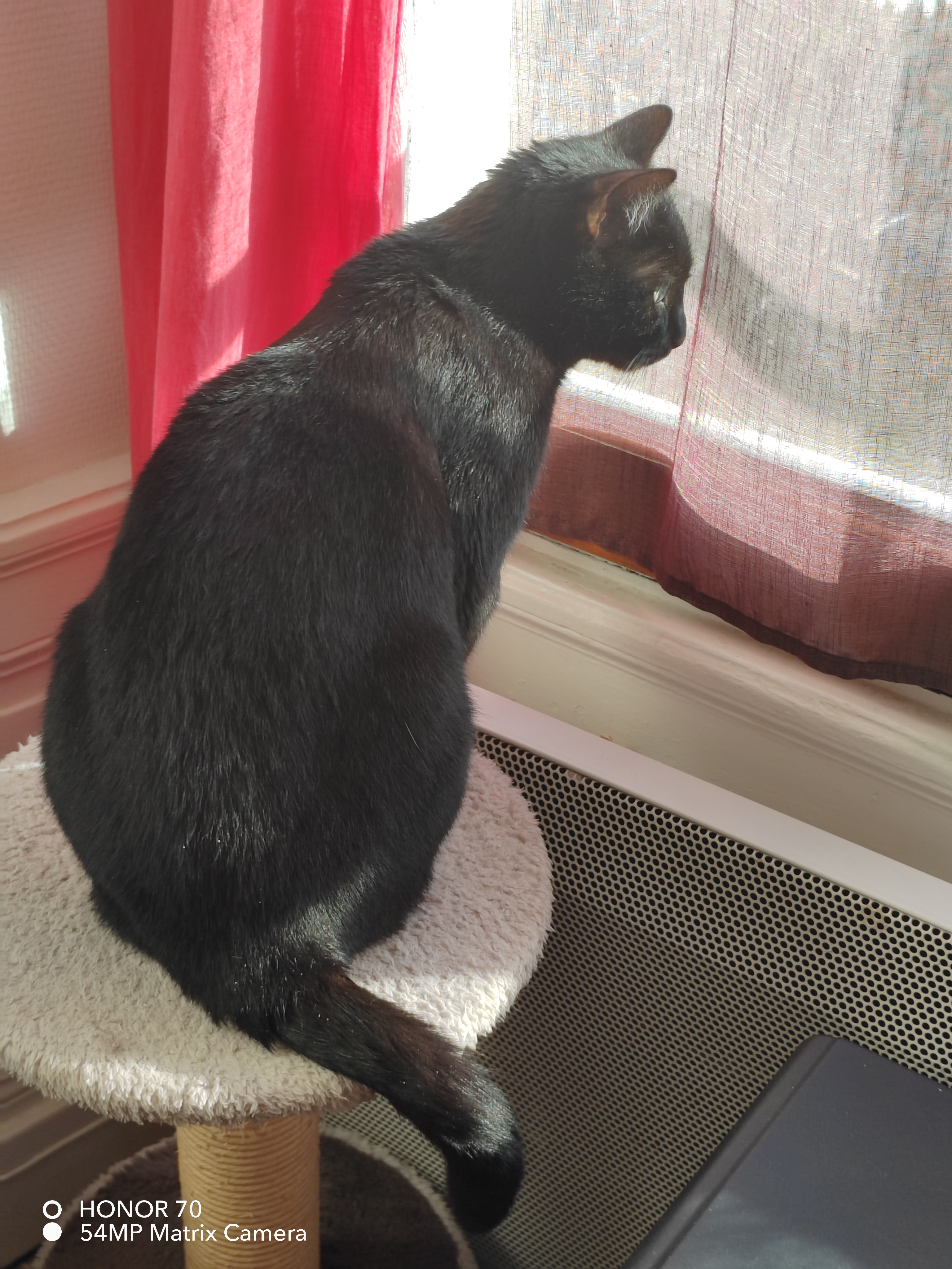 pimg-srchttpsiforum-dechihonorcomfrdataimages10000202211136eea2a92