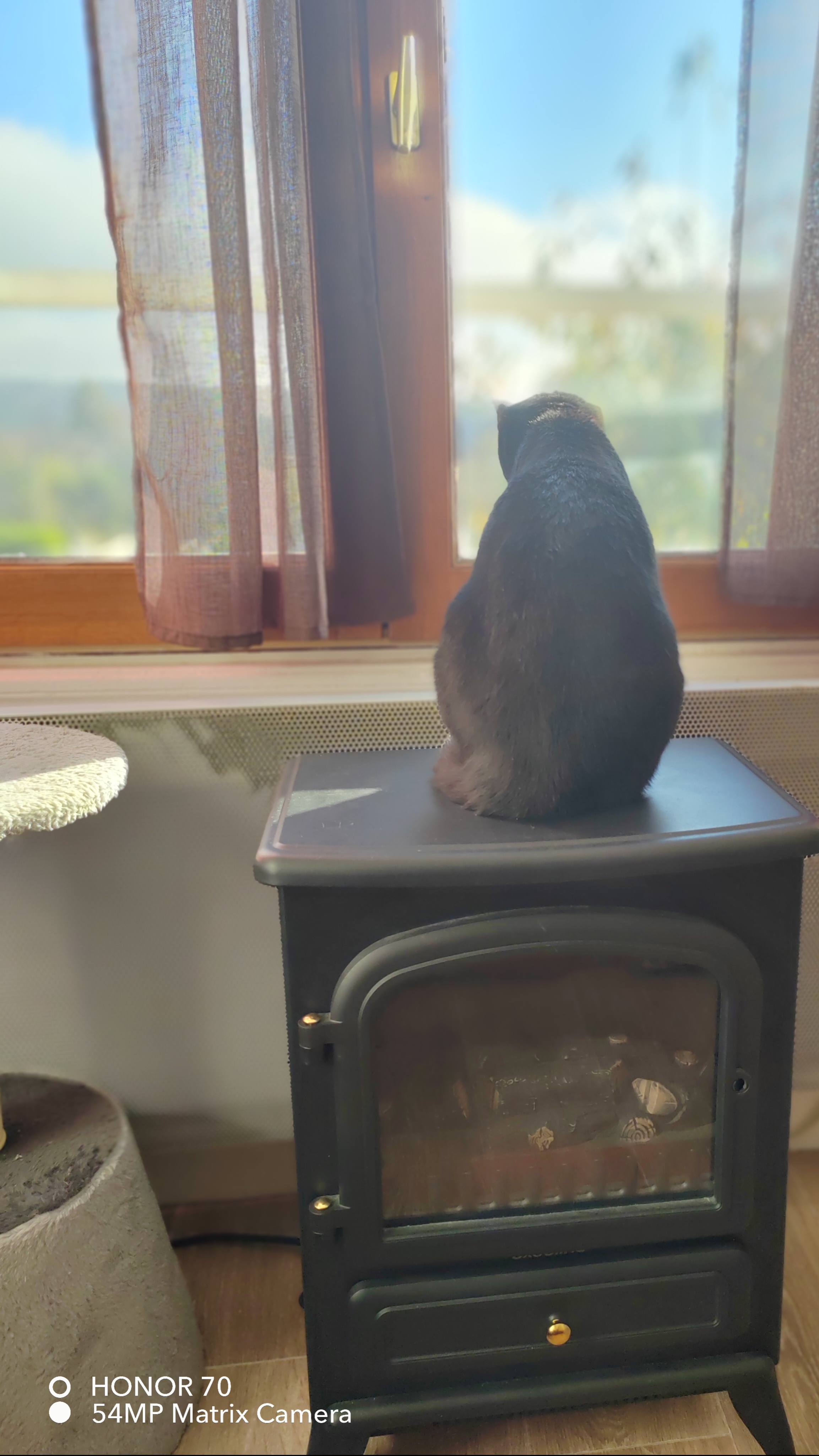 pimg-srchttpsiforum-dechihonorcomfrdataimages10000202211136eea2a92