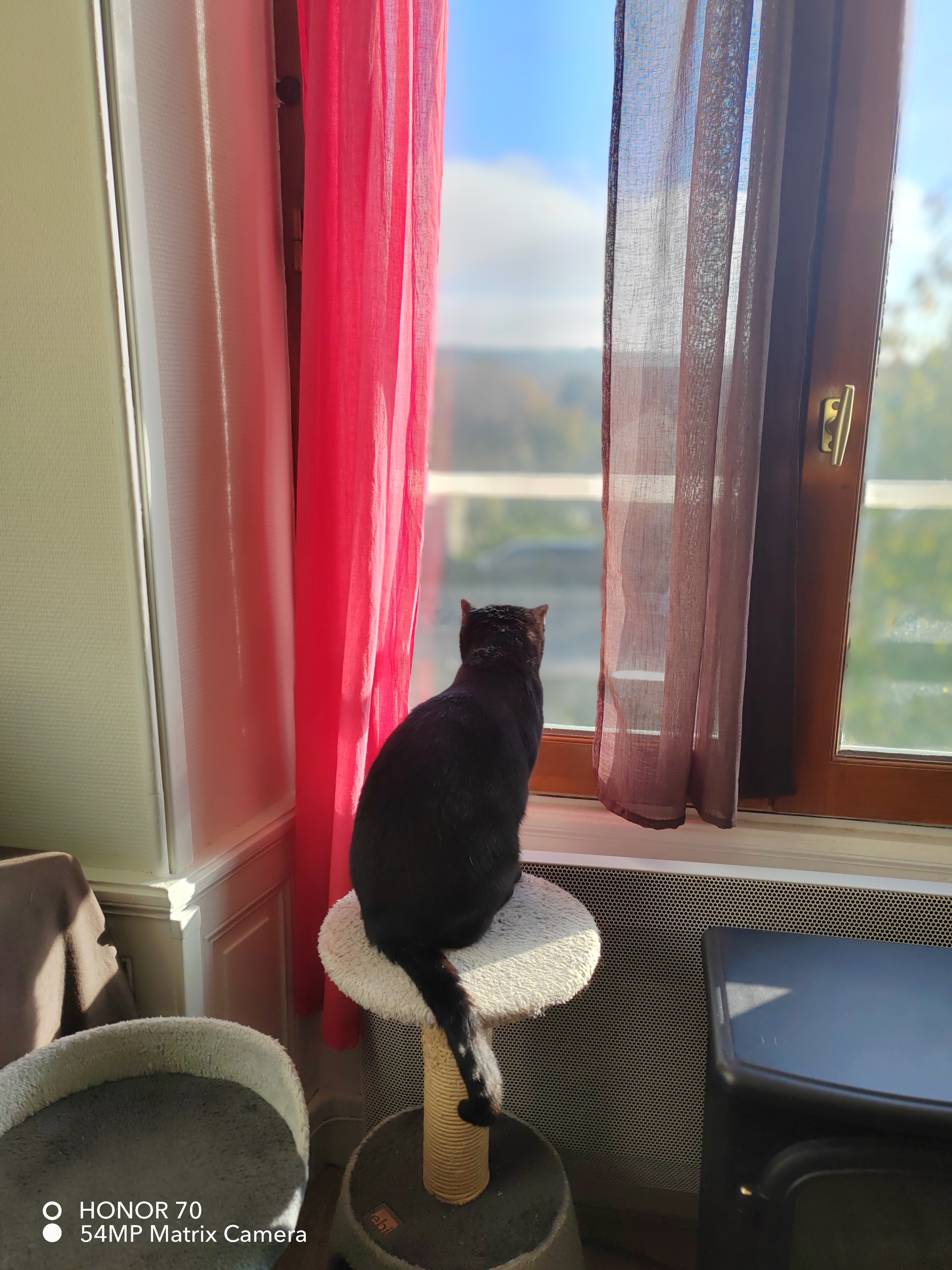 pimg-srchttpsiforum-dechihonorcomfrdataimages10000202211136eea2a92