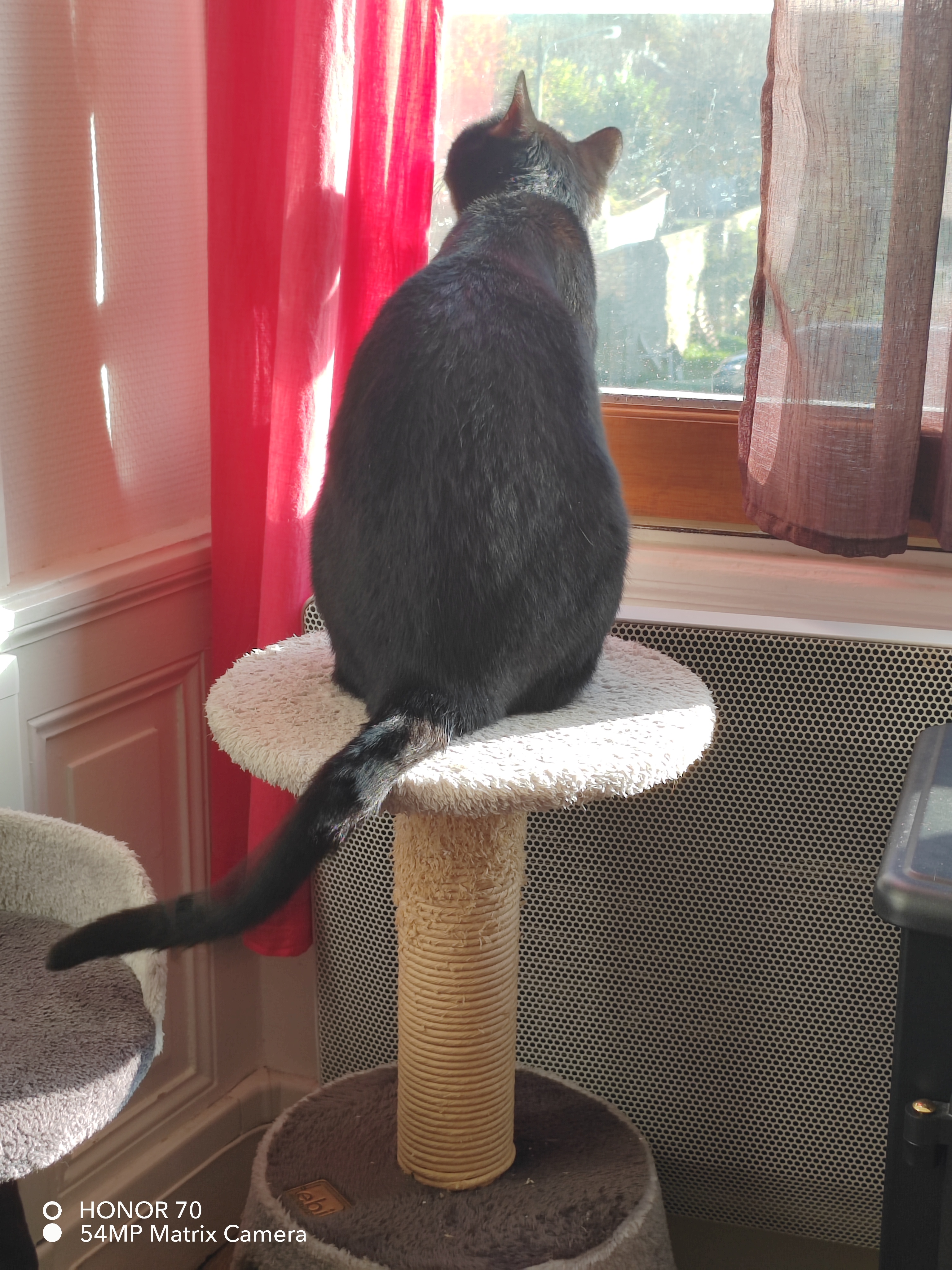 pimg-srchttpsiforum-dechihonorcomfrdataimages10000202211136eea2a92