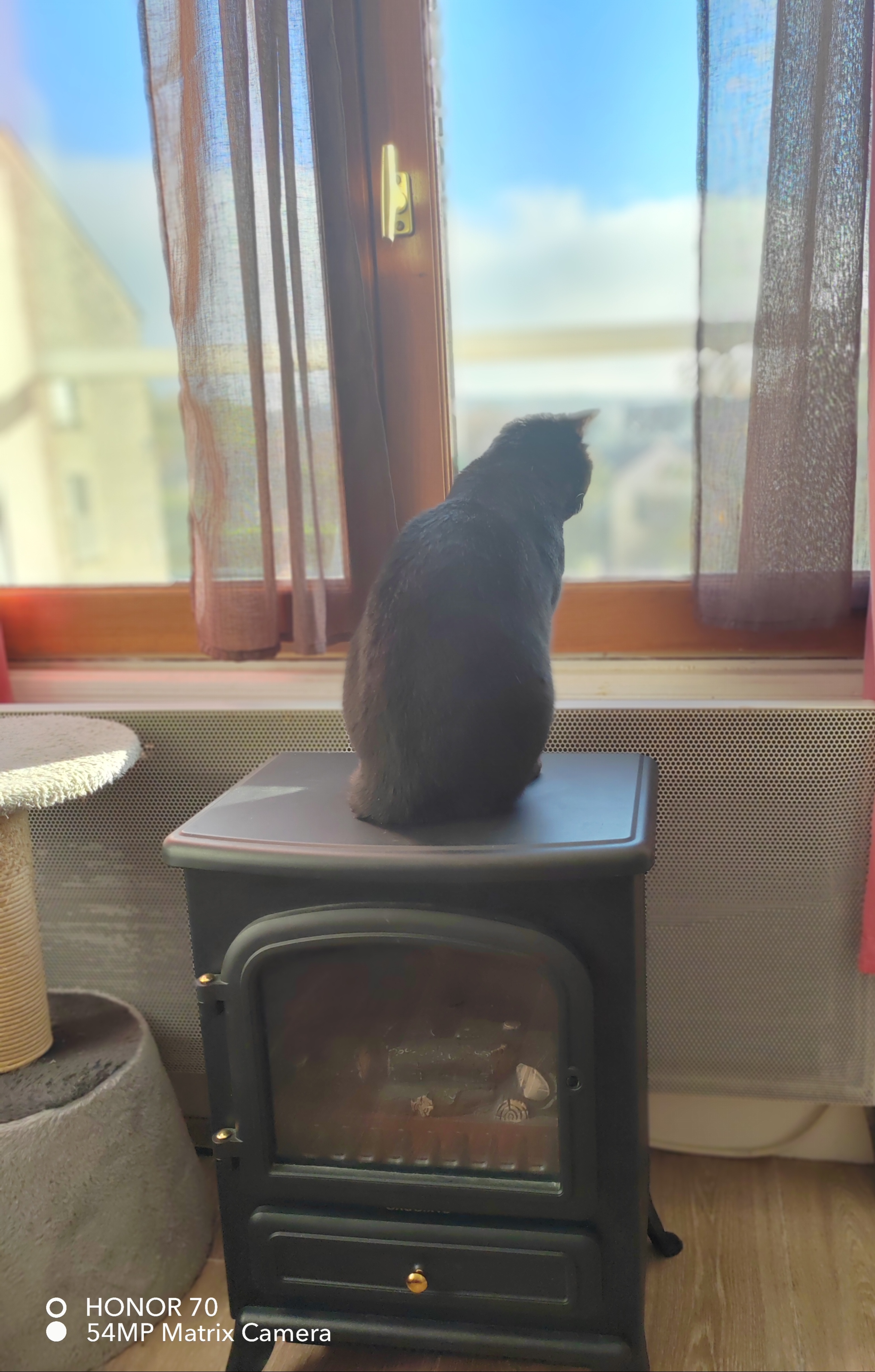 pimg-srchttpsiforum-dechihonorcomfrdataimages10000202211136eea2a92