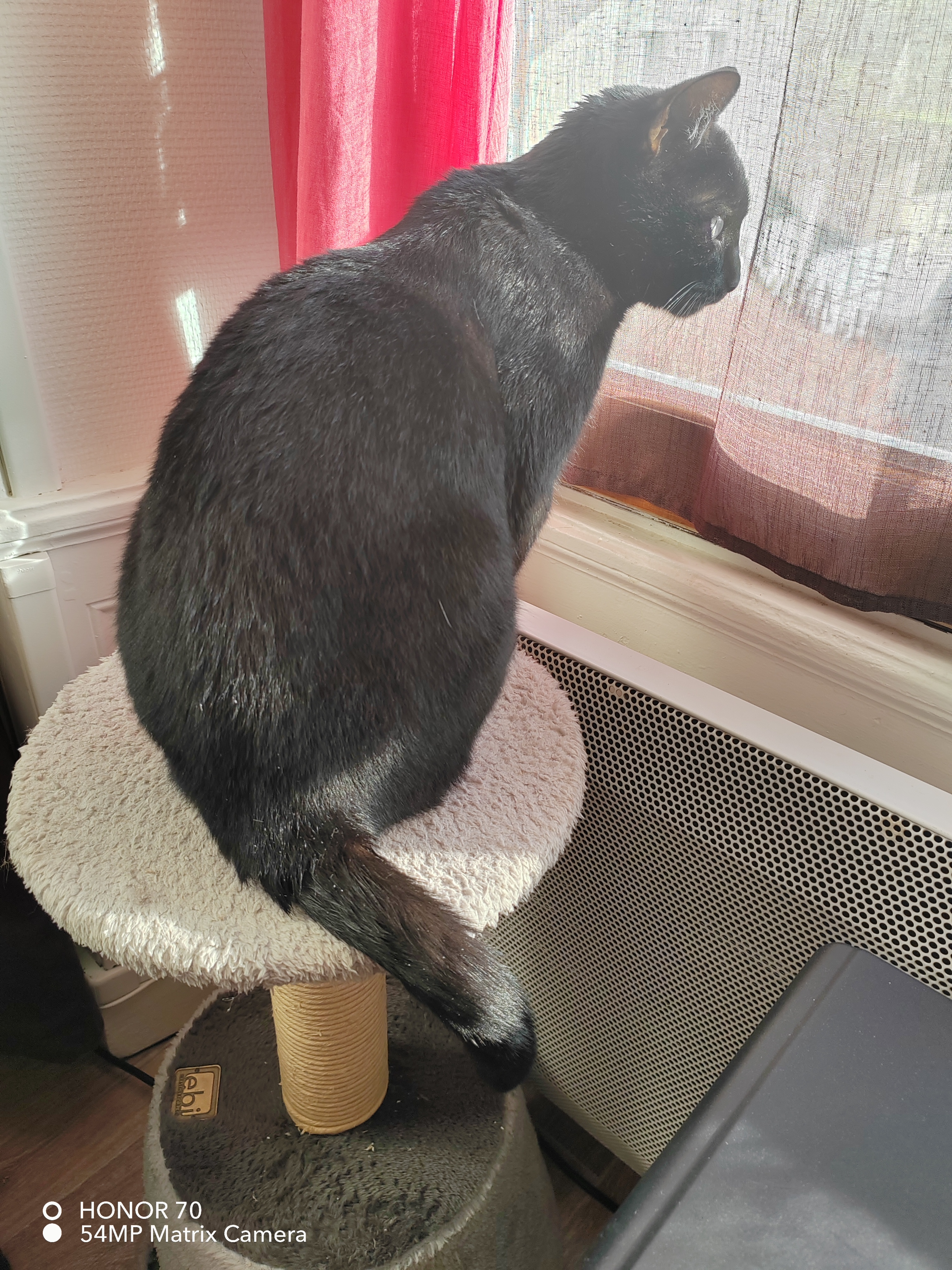 pimg-srchttpsiforum-dechihonorcomfrdataimages10000202211136eea2a92