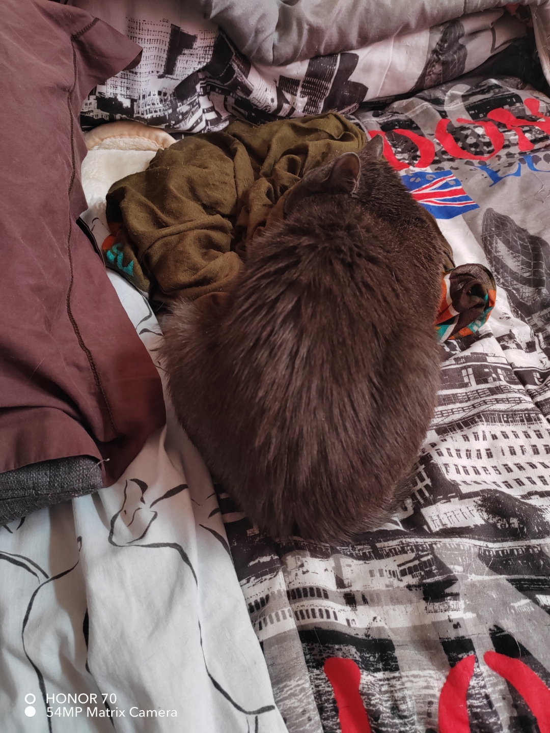 pimg-srchttpsiforum-dechihonorcomfrdataimages100002022113da1e9918-f85d