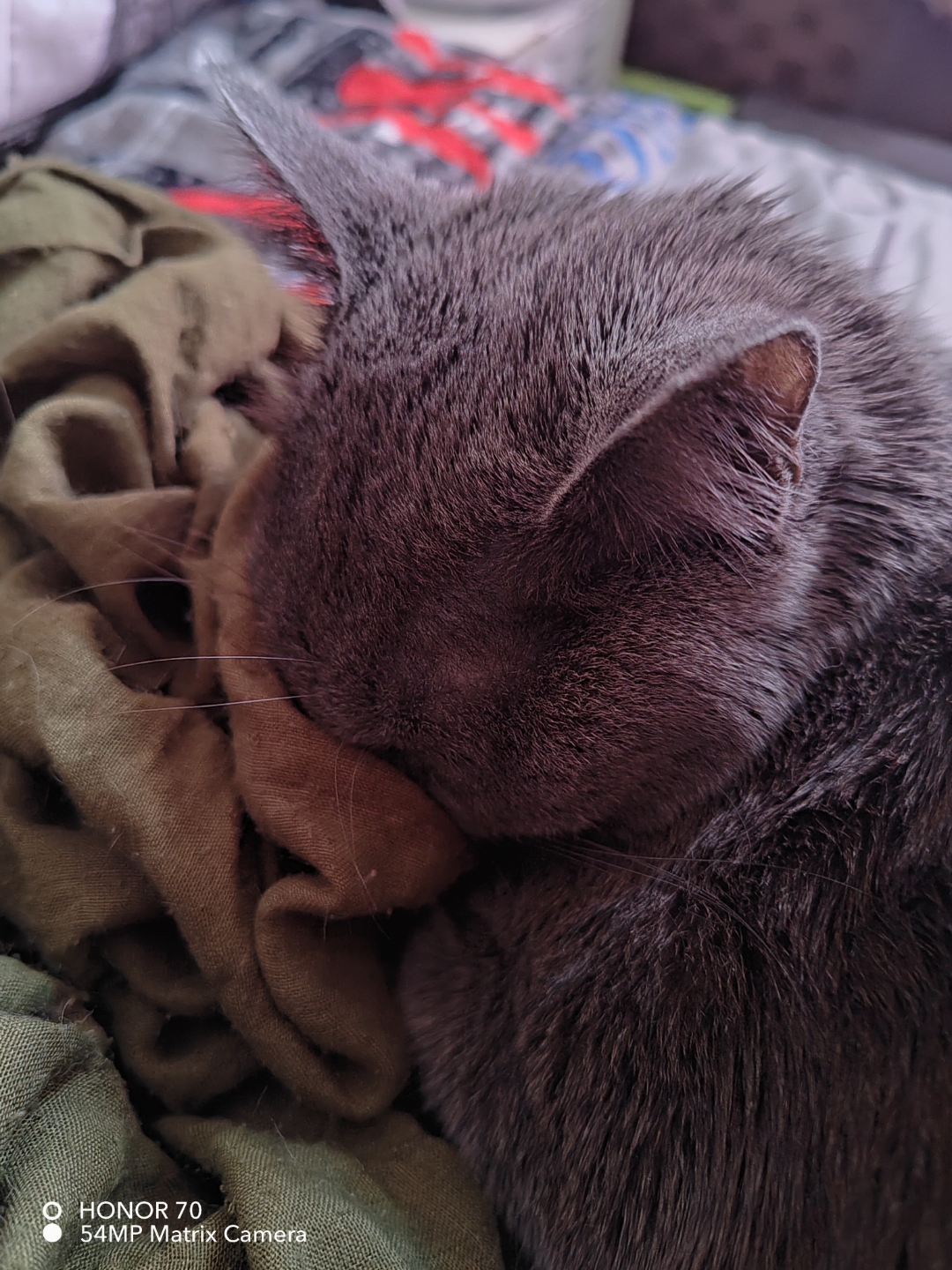 pimg-srchttpsiforum-dechihonorcomfrdataimages100002022113da1e9918-f85d