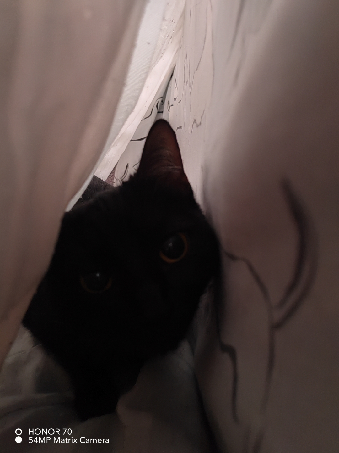 pimg-srchttpsiforum-dechihonorcomfrdataimages100002022113da1e9918-f85d