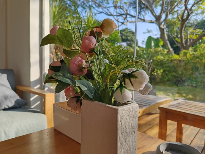 pBonjourppbrppJe-vous-ai-trouvé-quelques-photos-prises-par-un-Honor-80