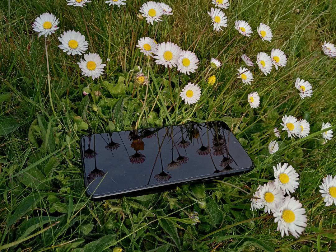 pimg-srchttpsiforum-dechihonorcomfrdataimages1000020225182d44a84c-eaab