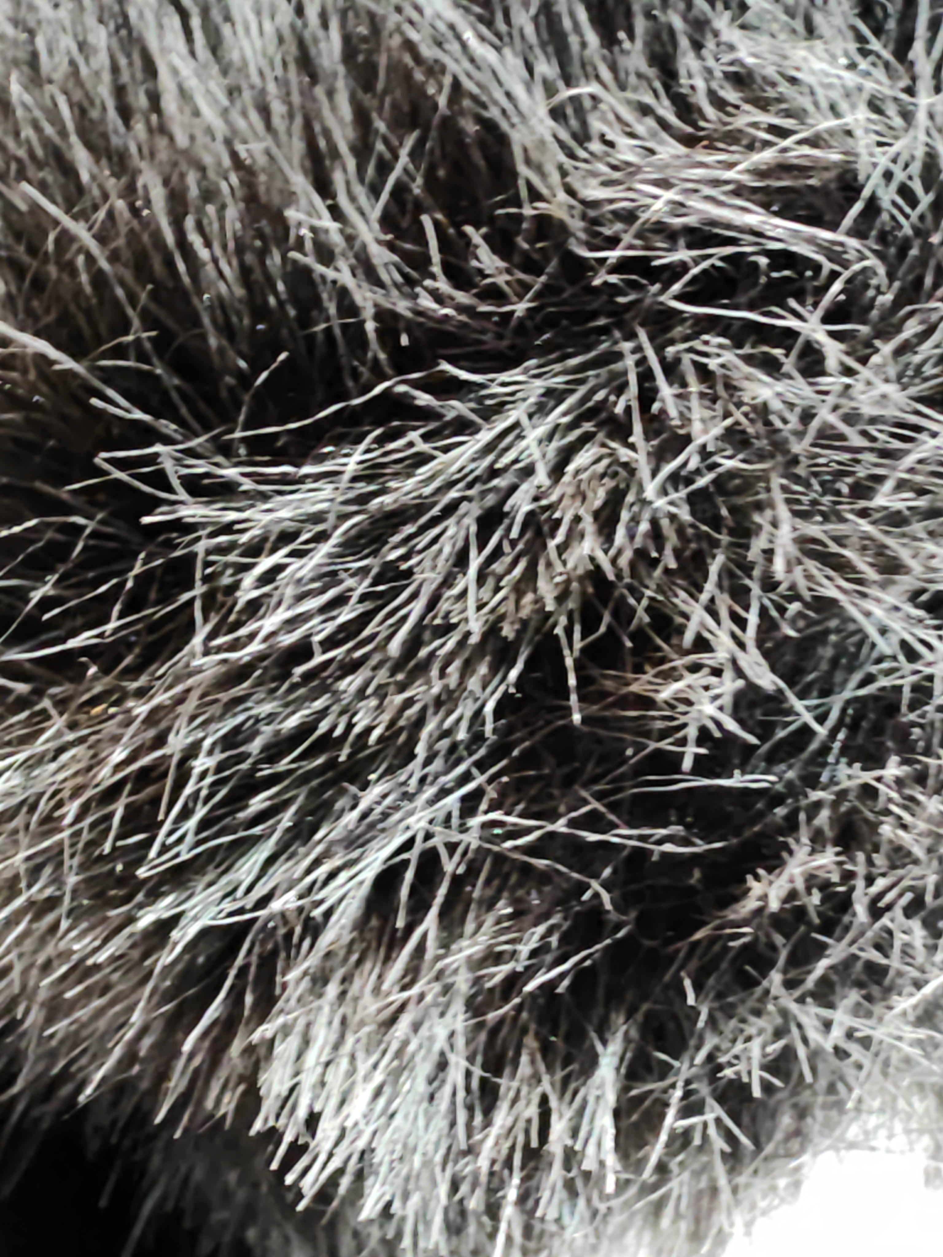 pspan-stylefont-size18pxBonjour-à-tous-les-fans-brbrJe-vous-propose-de