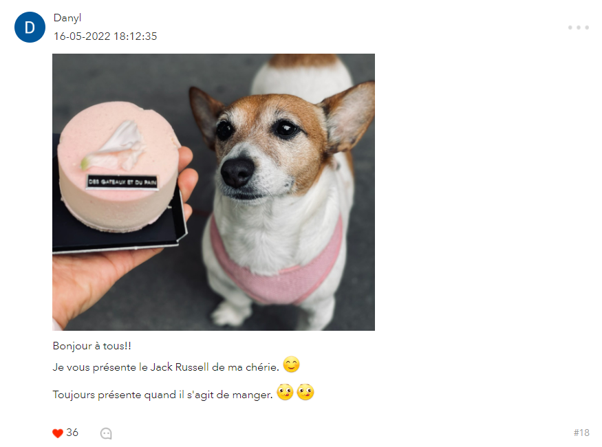 p-styletext-align-leftSalut-fanspp-styletext-align-leftbrppCest