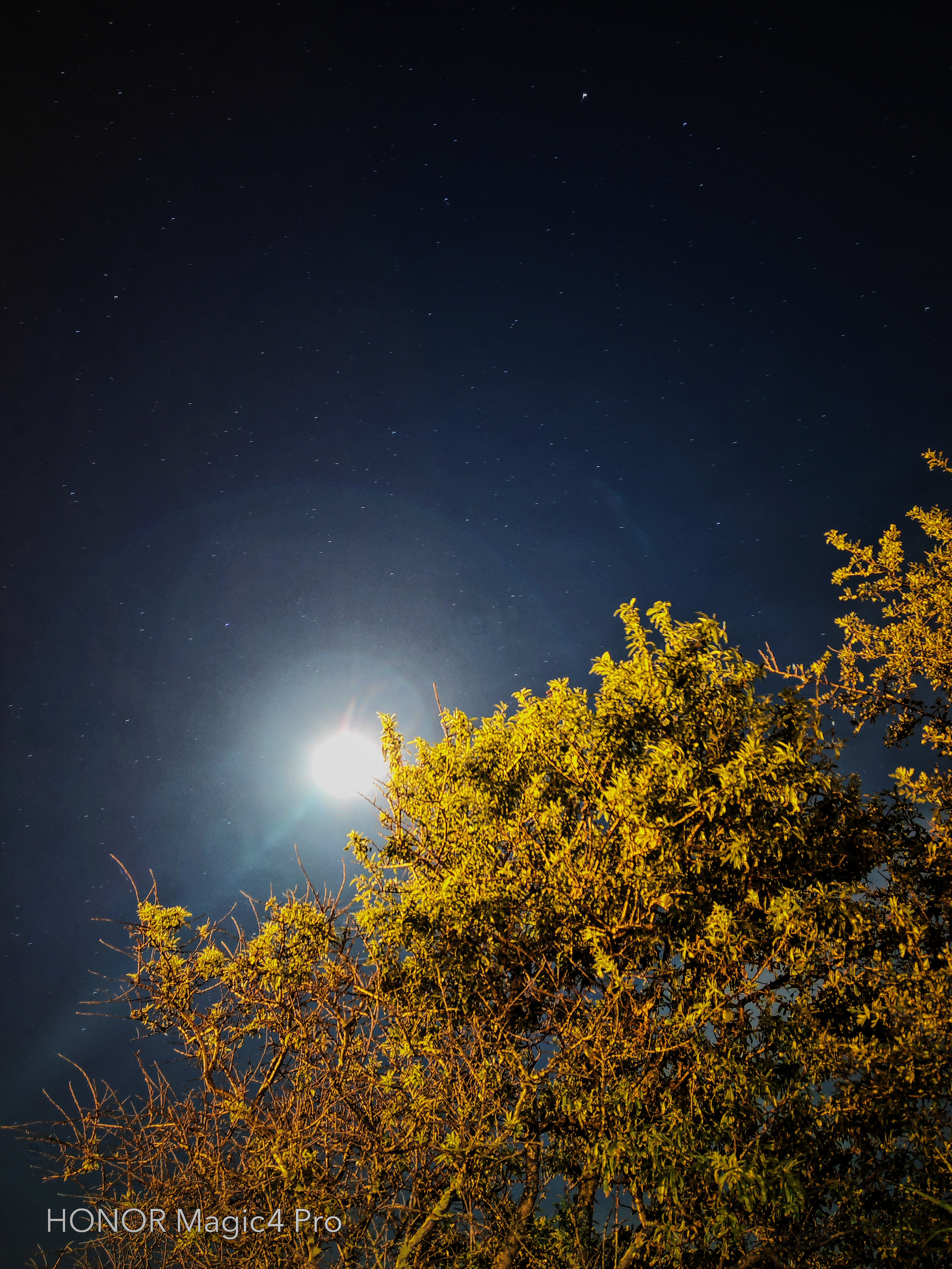 pBonjour-à-tous-et-bienvenue-dans-ce-nouvel-article-brbrppComme-je