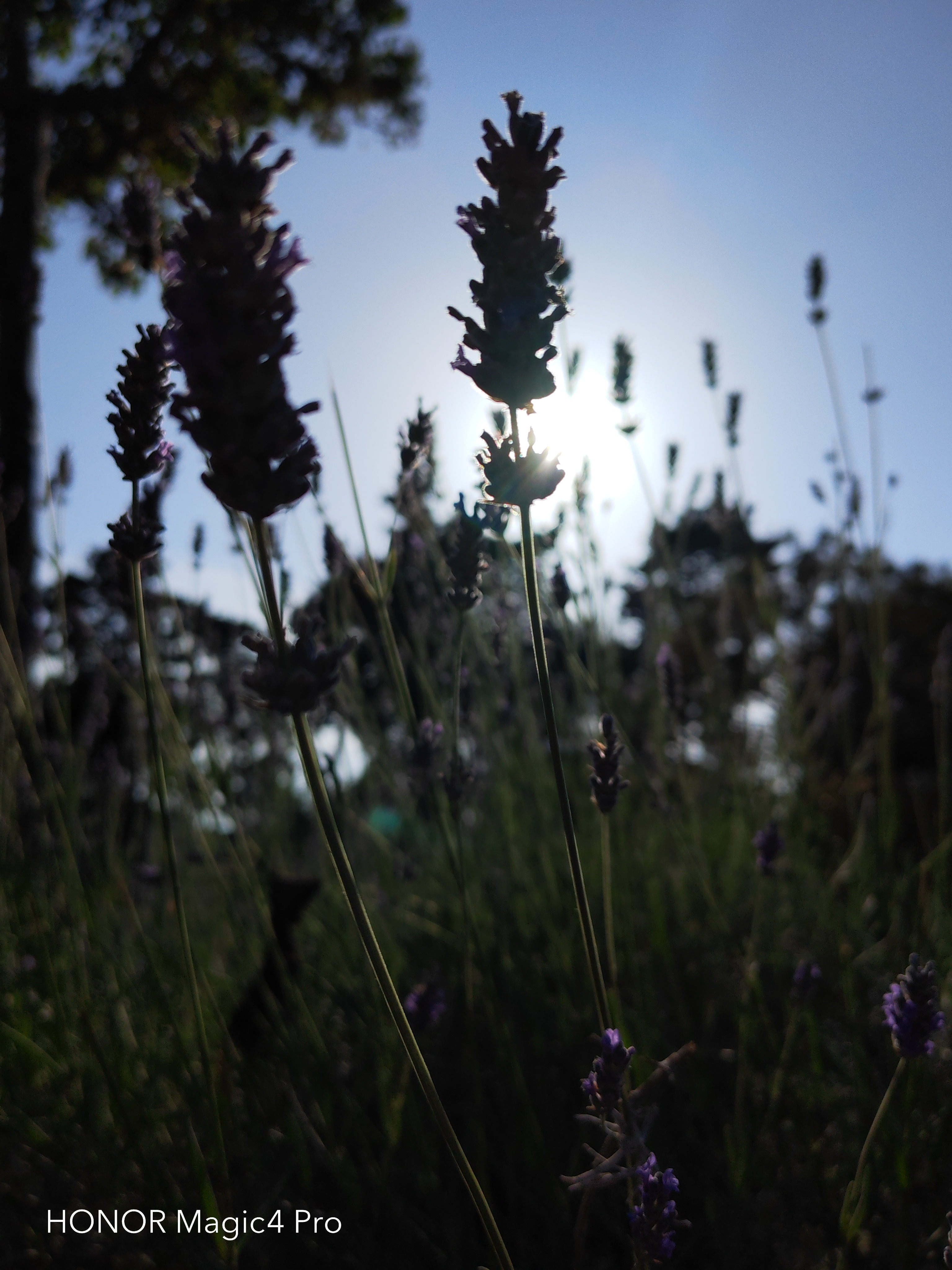 pBonjour-la-communautéppbrppLaventure-avec-le-Magic-4-Pro-est-fini-il