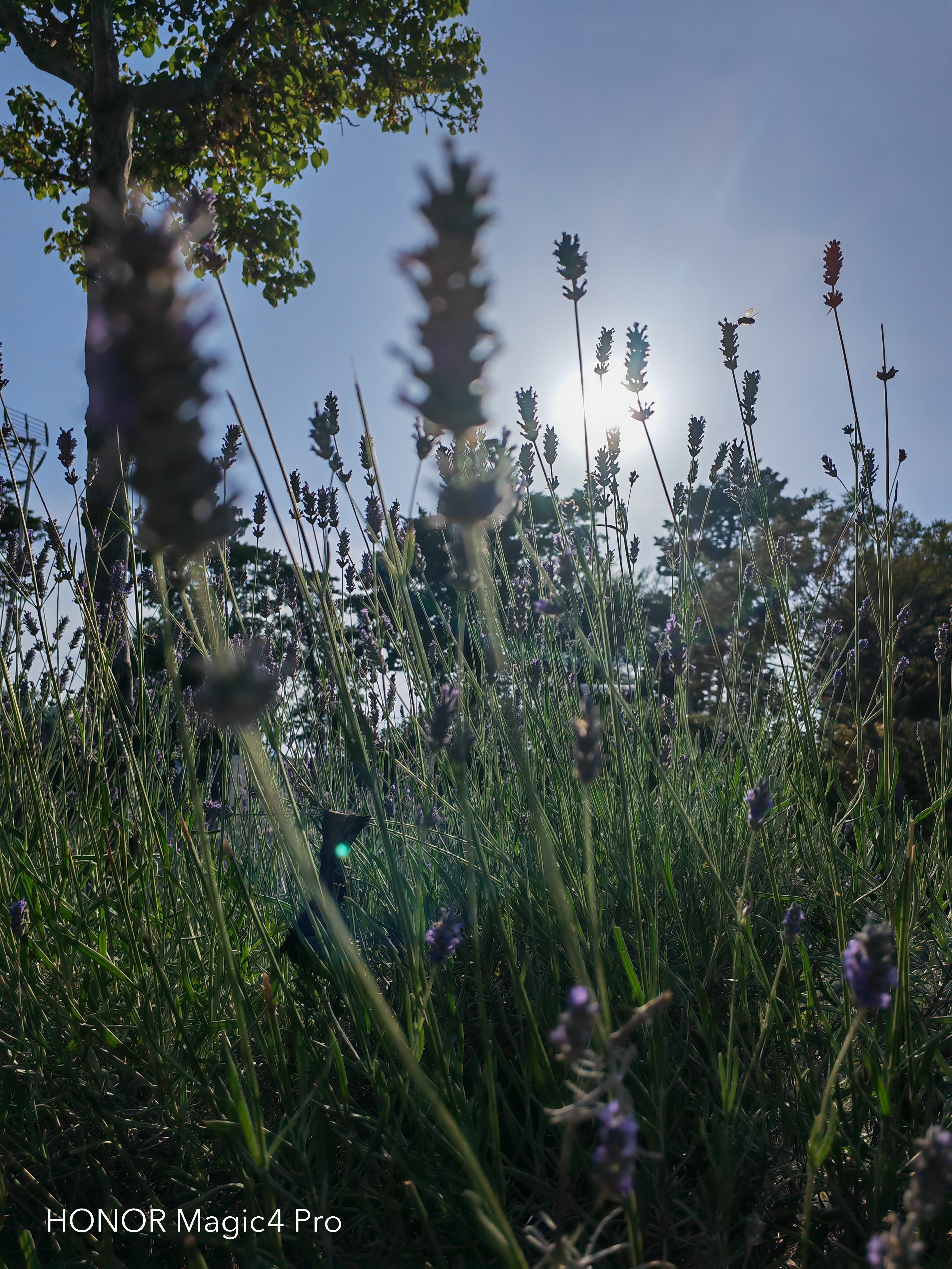 pBonjour-la-communautéppbrppLaventure-avec-le-Magic-4-Pro-est-fini-il