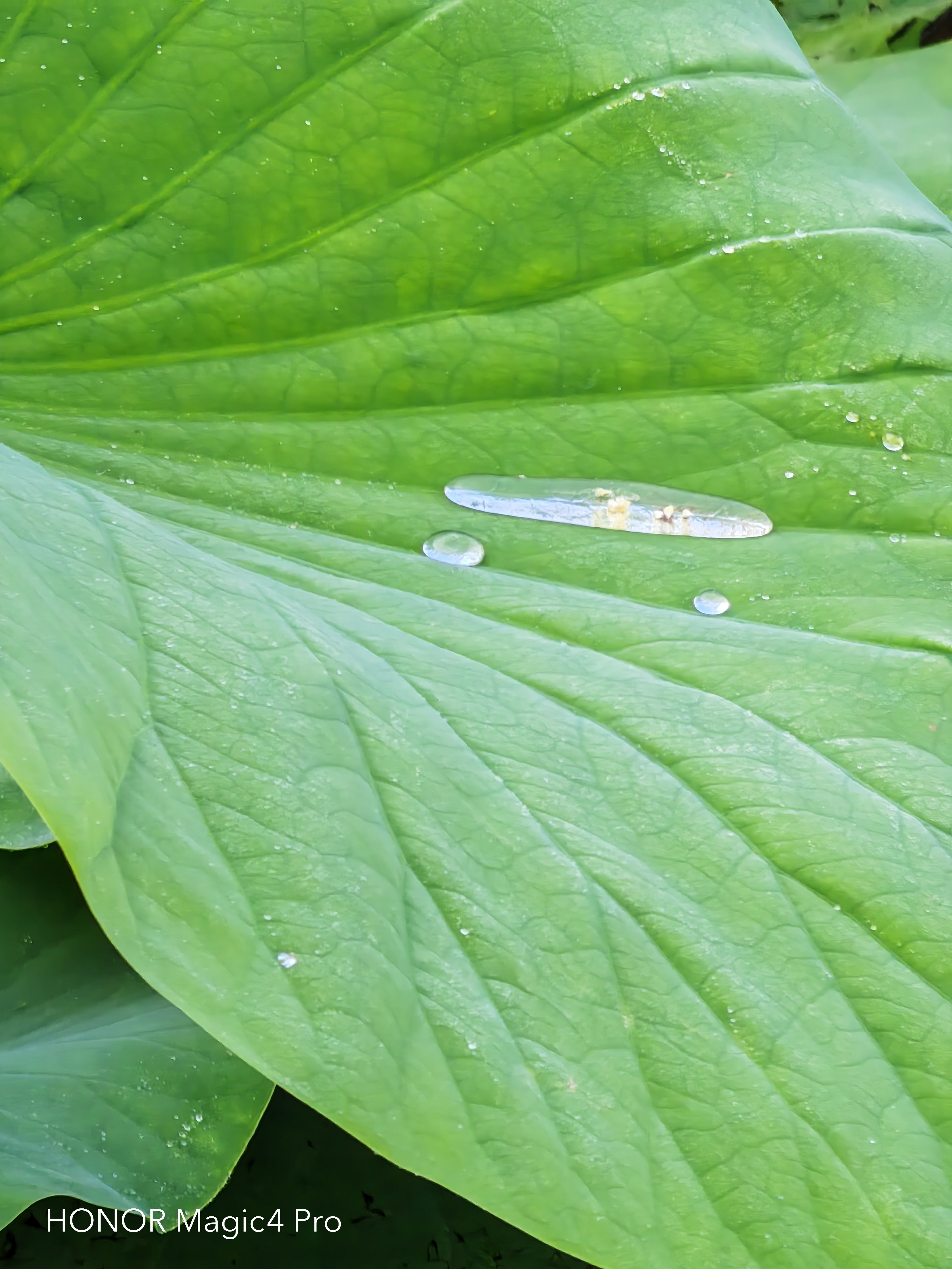 pBonjour-la-communautéppbrppLaventure-avec-le-Magic-4-Pro-est-fini-il