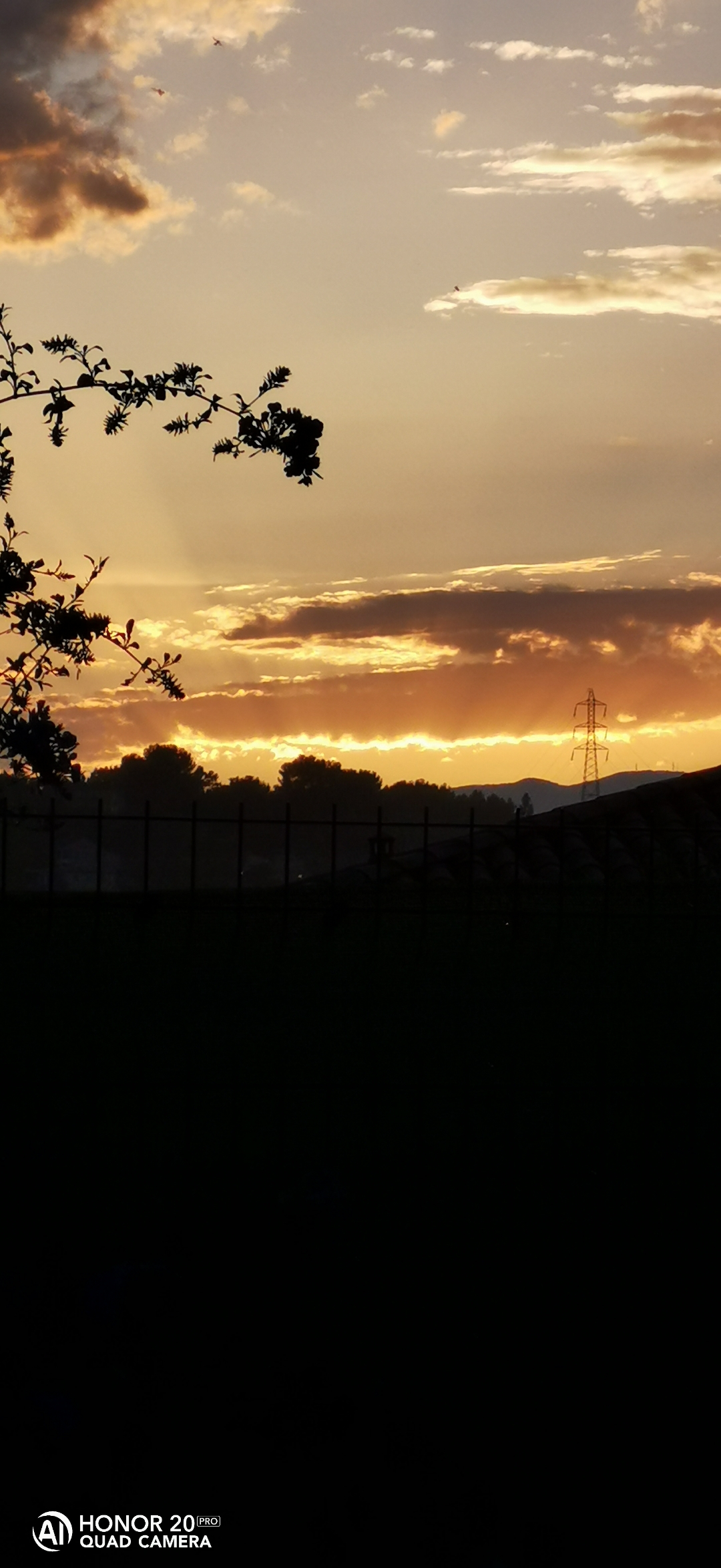 pimg-srchttpsiforum-dechihonorcomfrdataimages100002022626b5bea90a-03e3