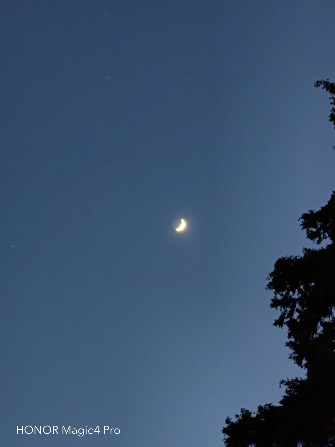 pimg-srchttpsiforum-dechihonorcomfrdataimages10000202265c6535e89-72e6