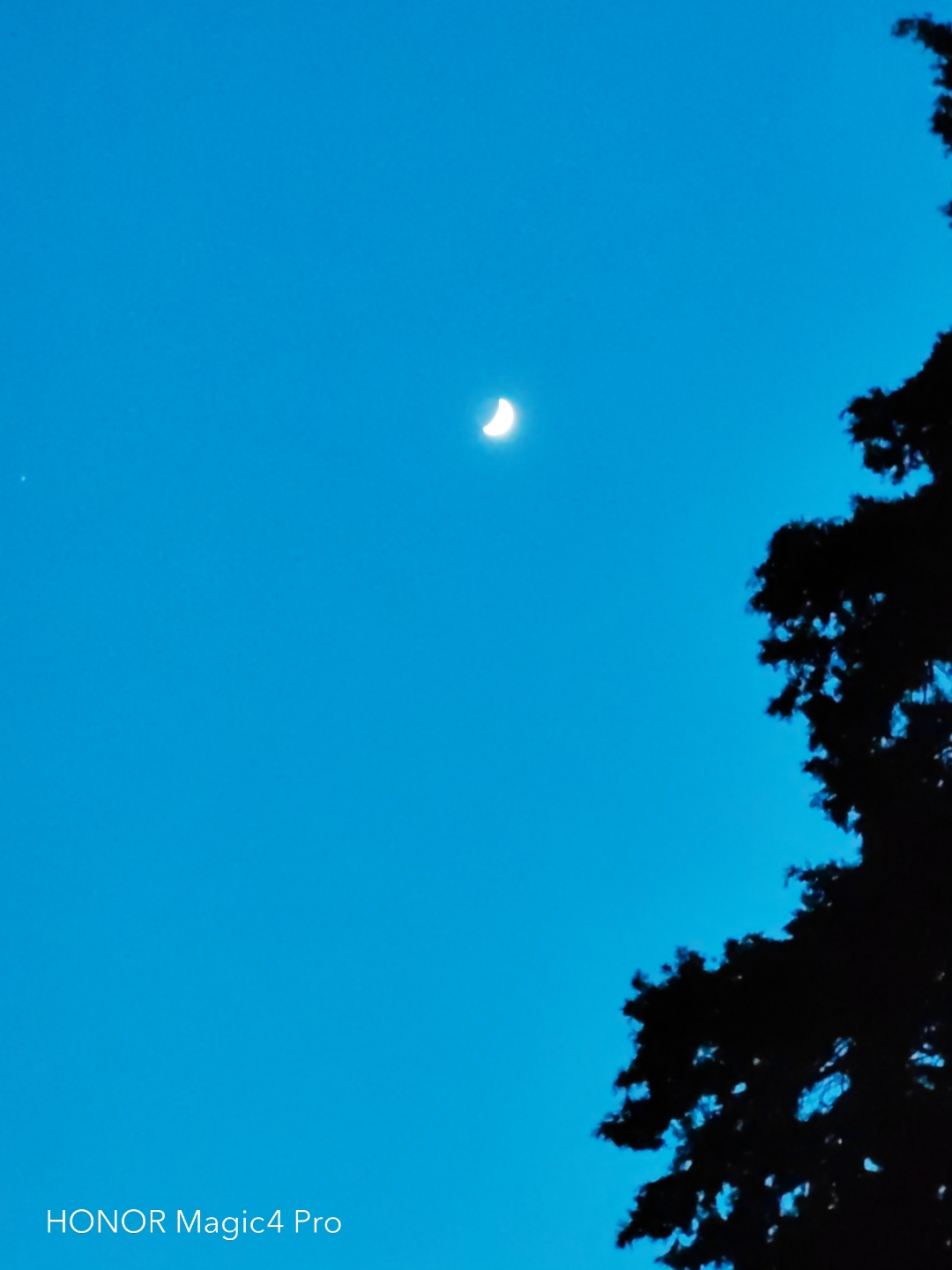 pimg-srchttpsiforum-dechihonorcomfrdataimages10000202265c6535e89-72e6