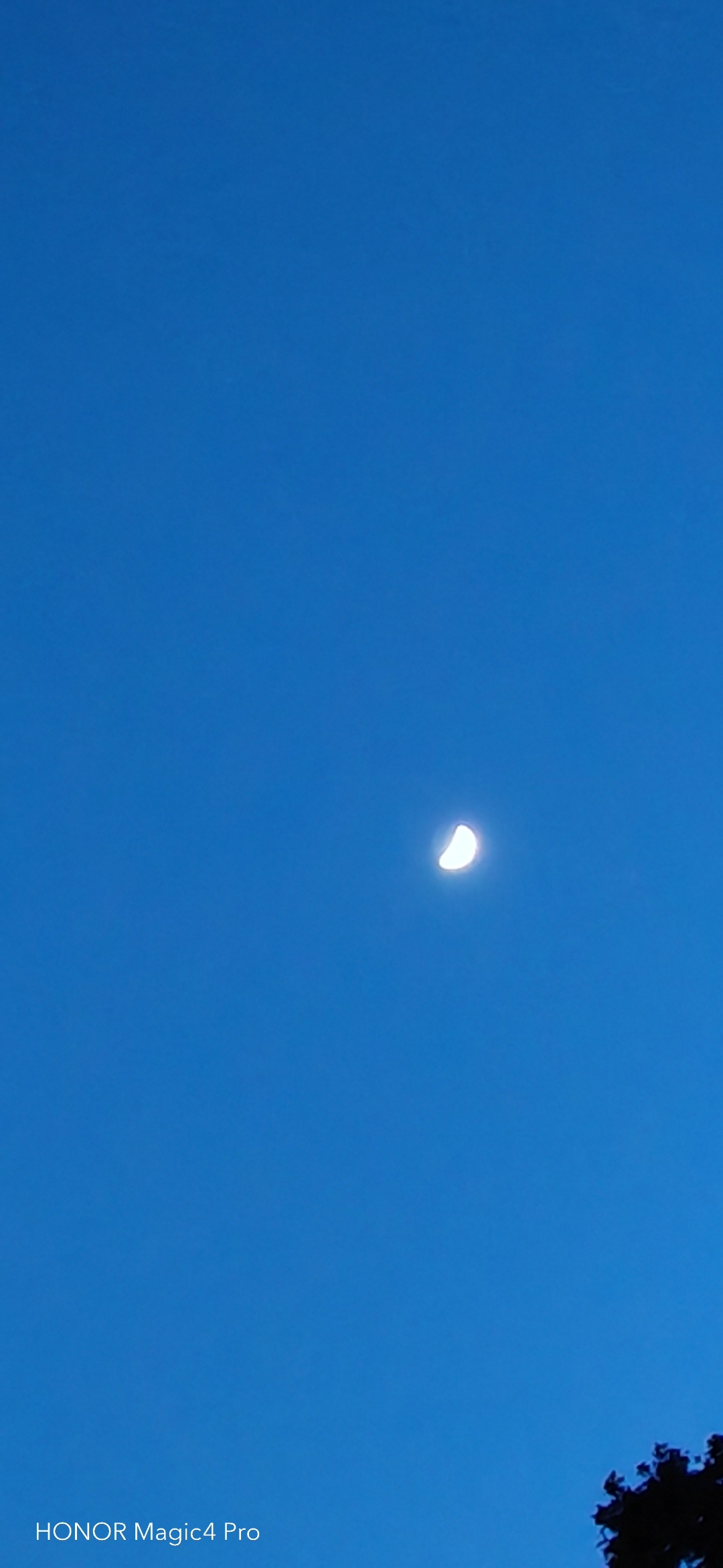 pimg-srchttpsiforum-dechihonorcomfrdataimages10000202265c6535e89-72e6