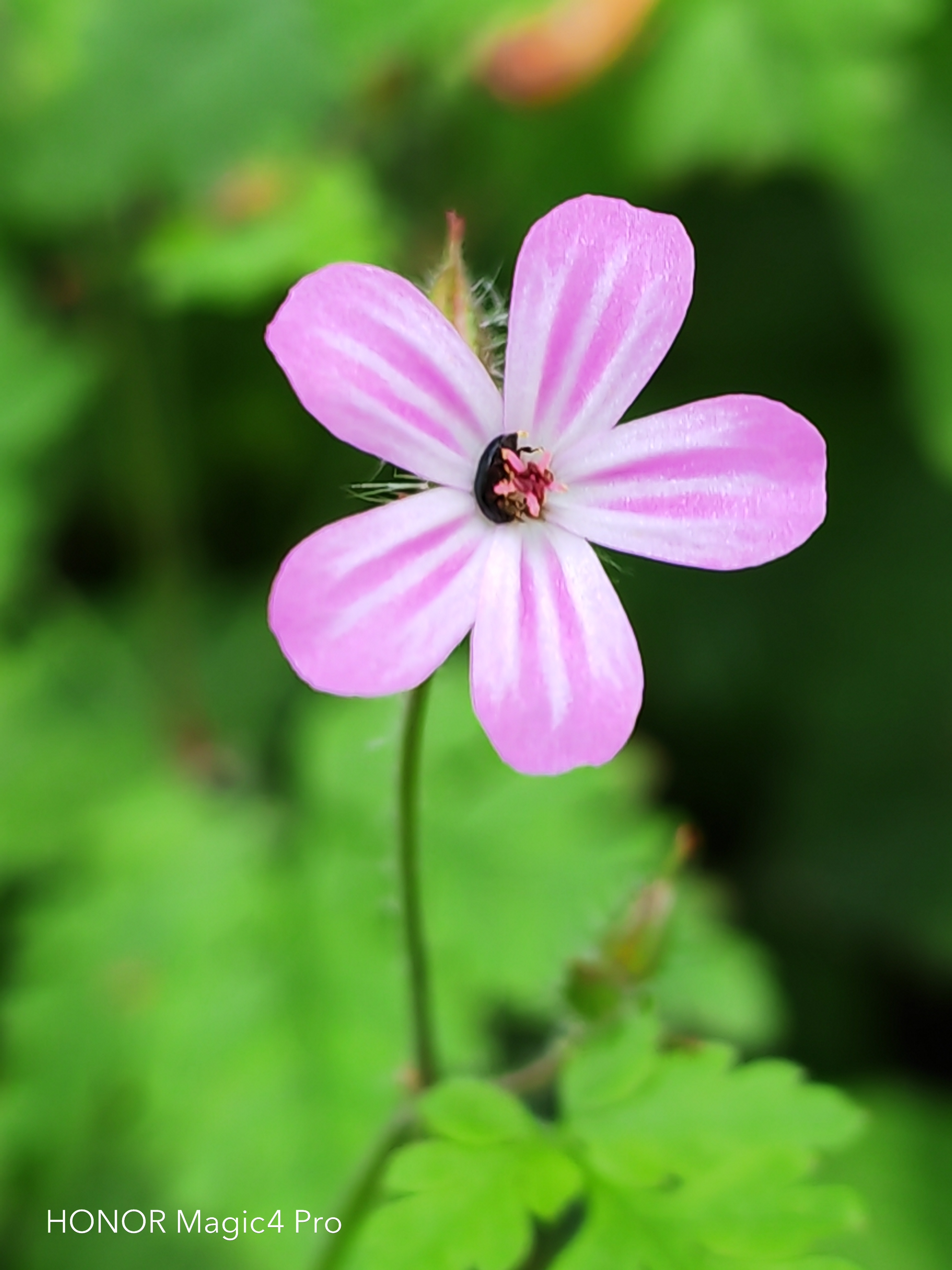 pspan-stylefont-size18pxBonjour-à-tous-strongles