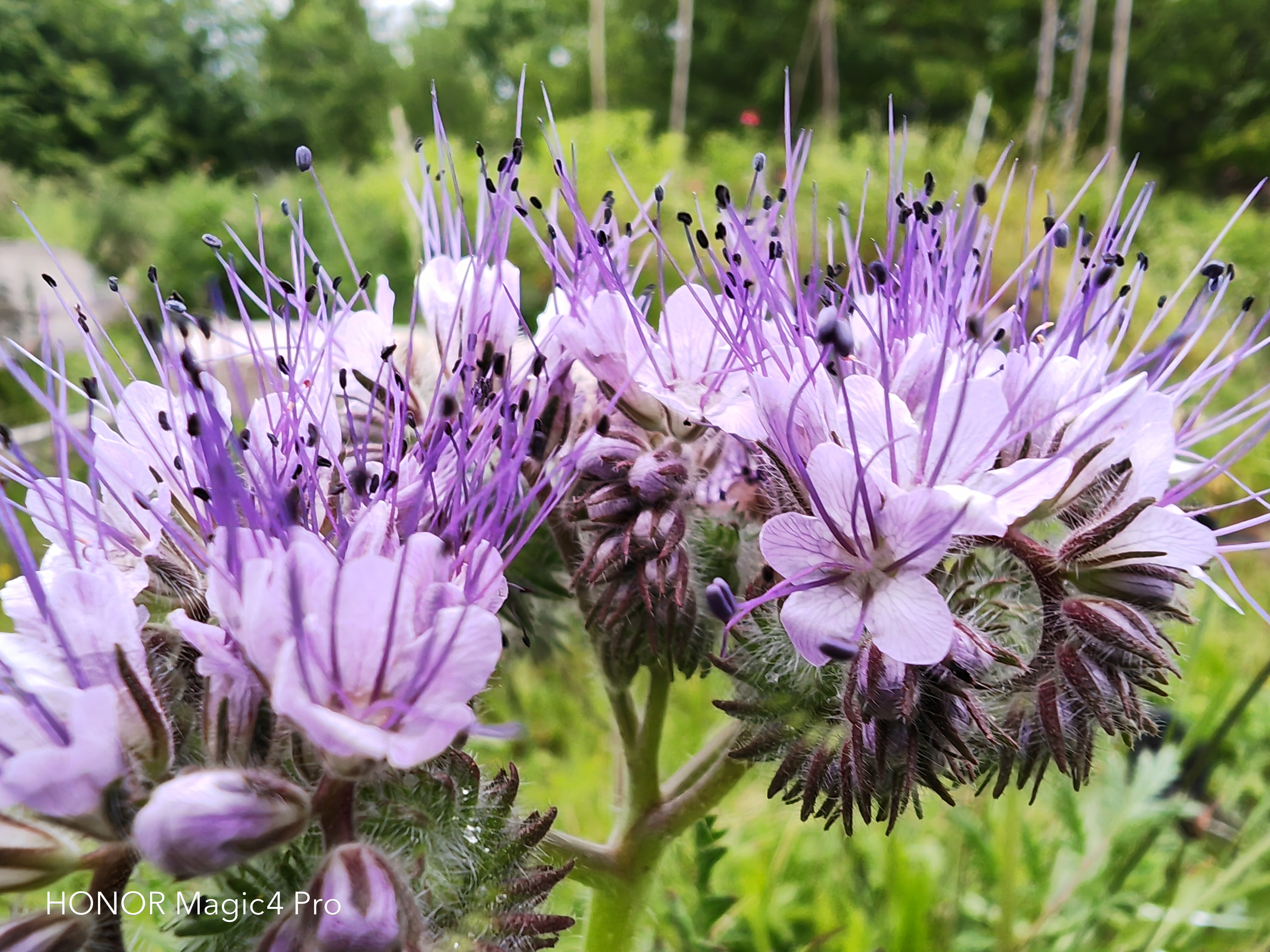 pspan-stylefont-size18pxBonjour-à-tous-strongles