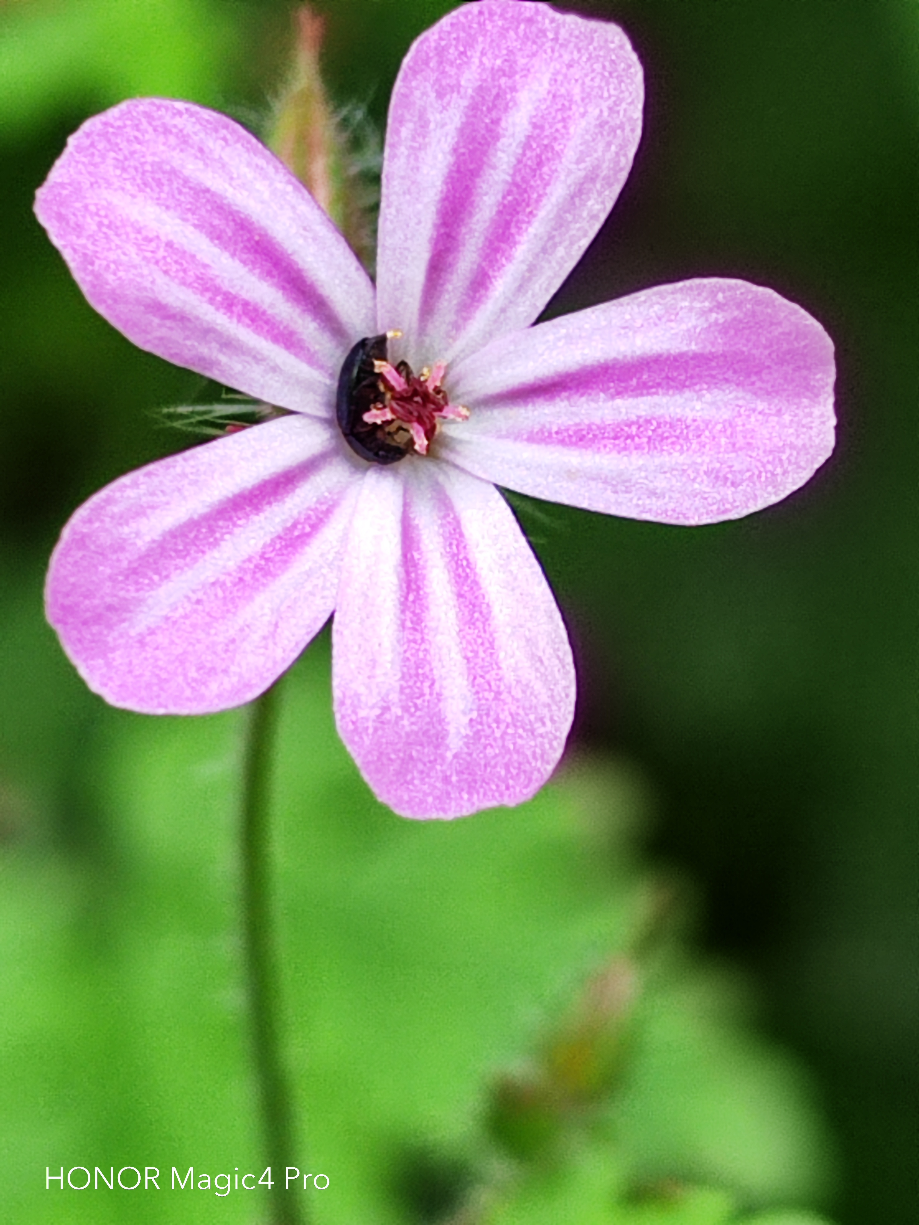 pspan-stylefont-size18pxBonjour-à-tous-strongles
