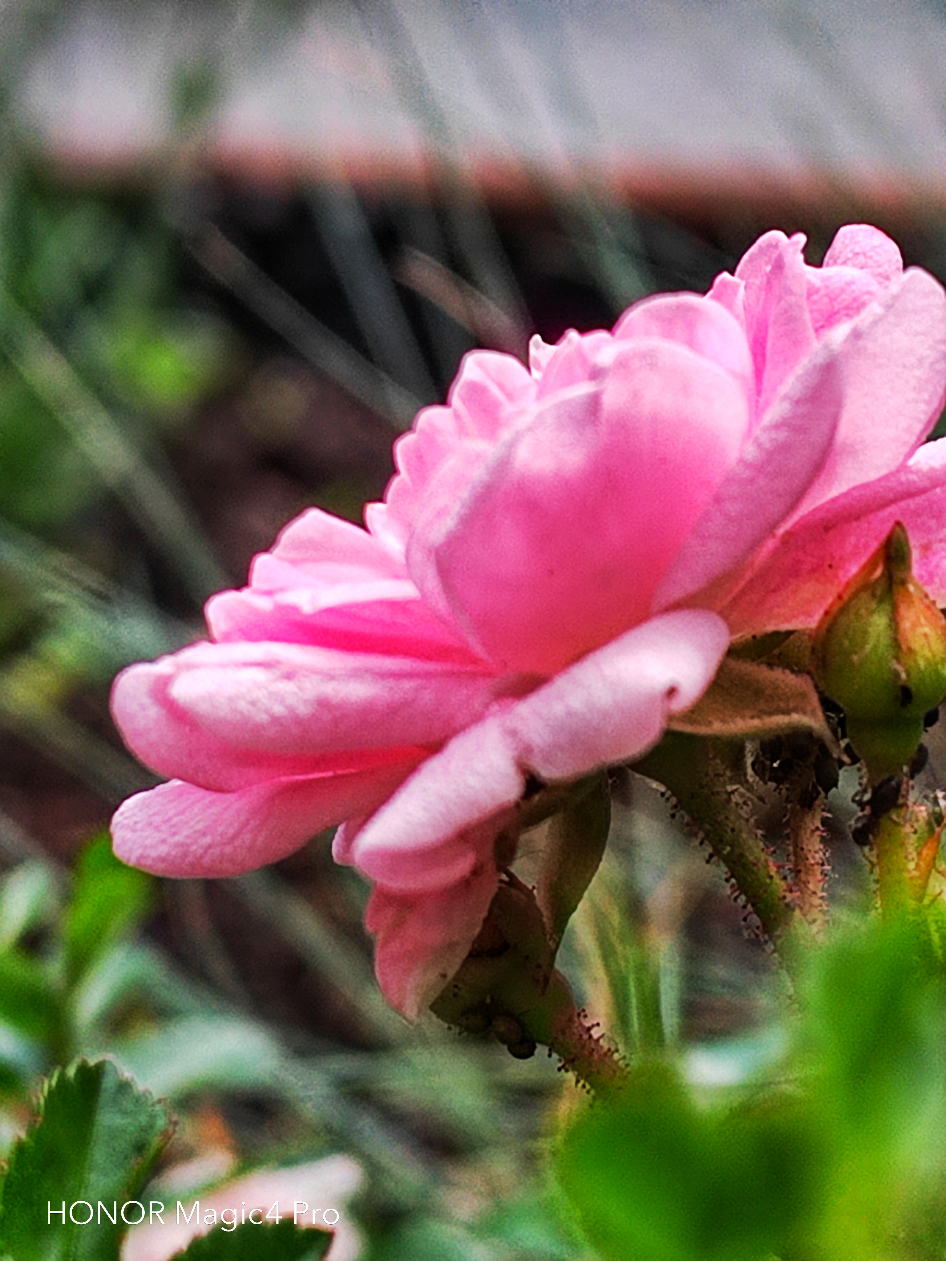 pspan-stylefont-size18pxBonjour-à-tous-strongles