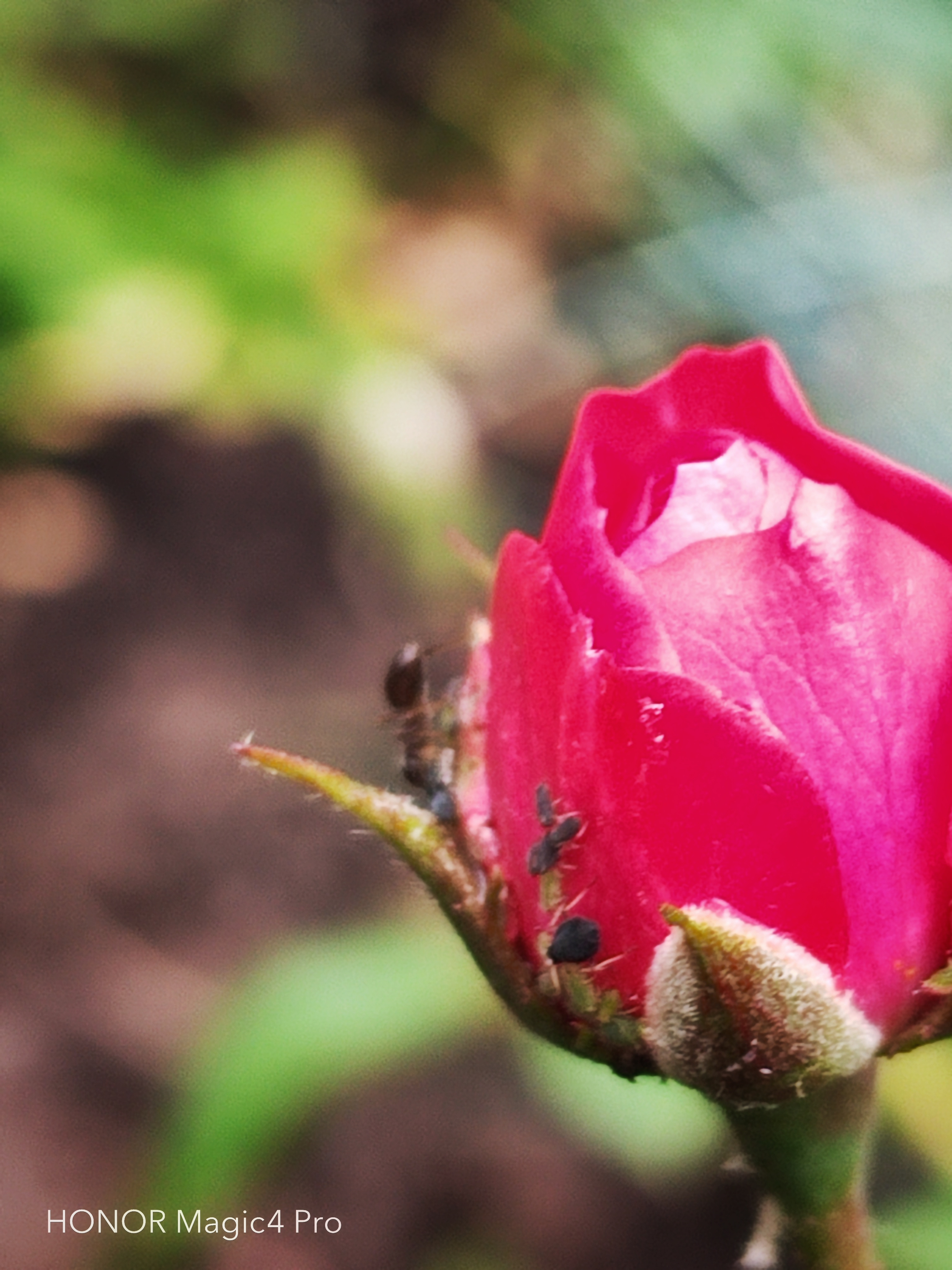 pspan-stylefont-size18pxBonjour-à-tous-strongles