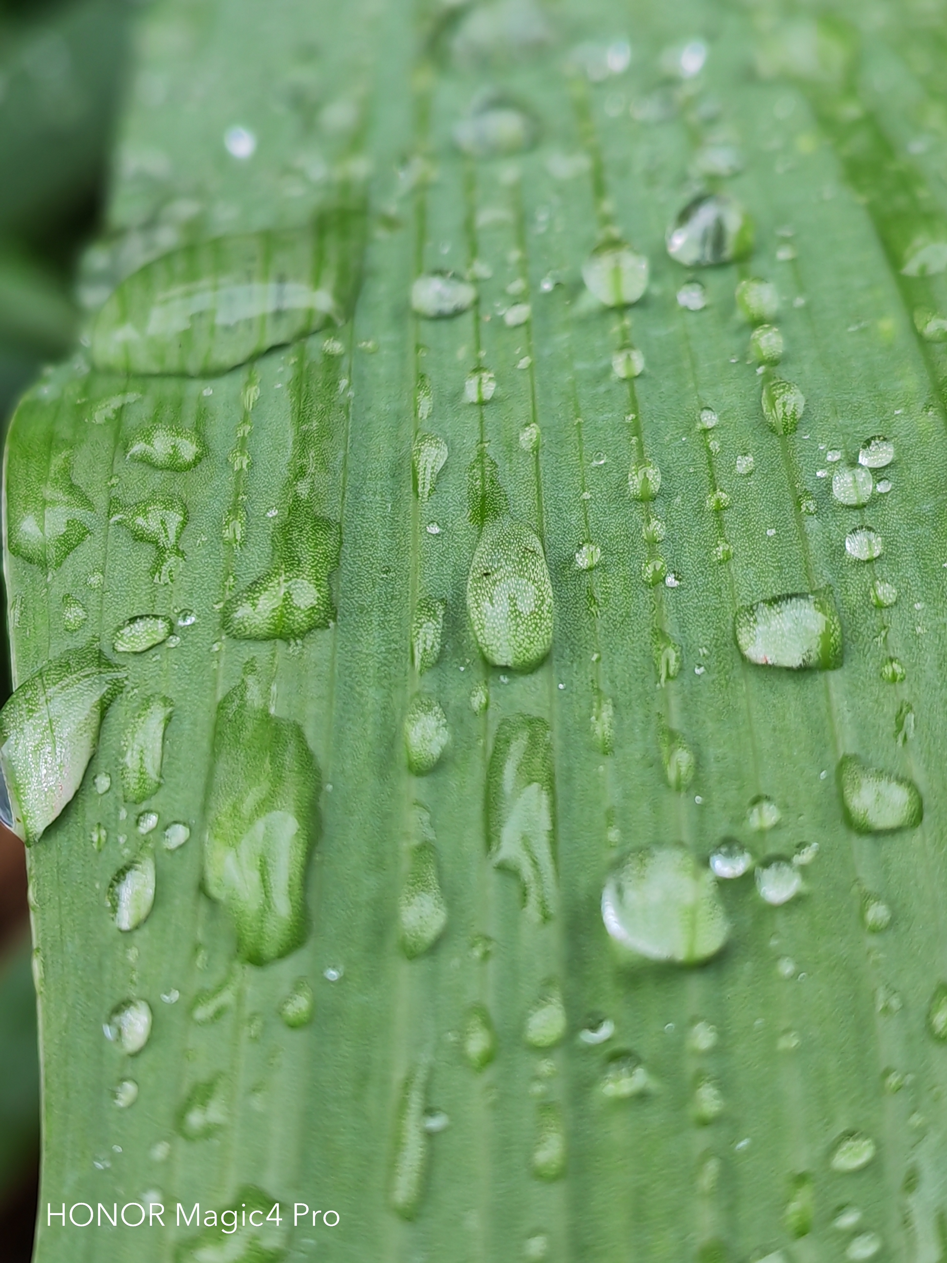 pspan-stylefont-size18pxBonjour-à-tous-strongles