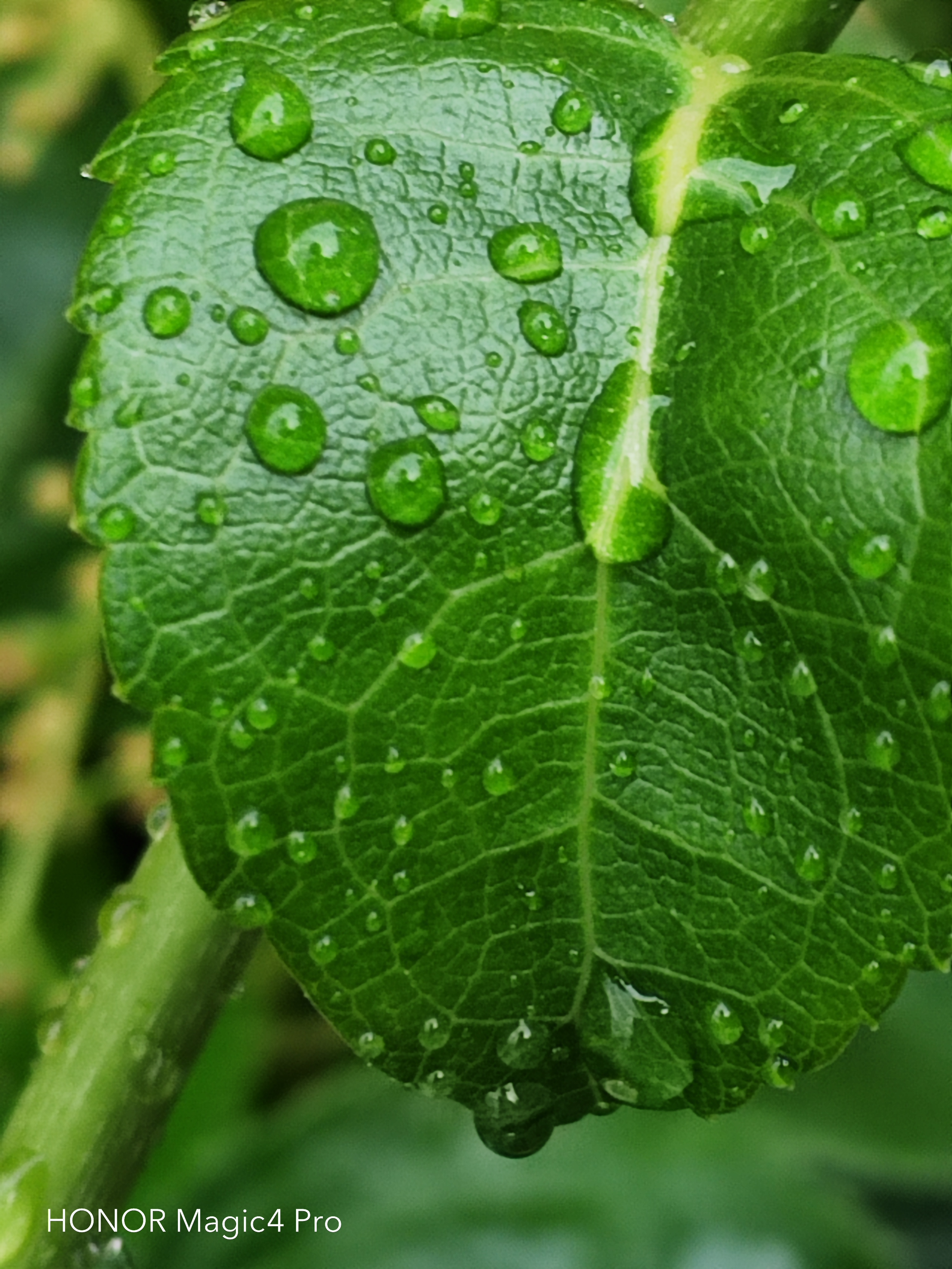 pspan-stylefont-size18pxBonjour-à-tous-strongles