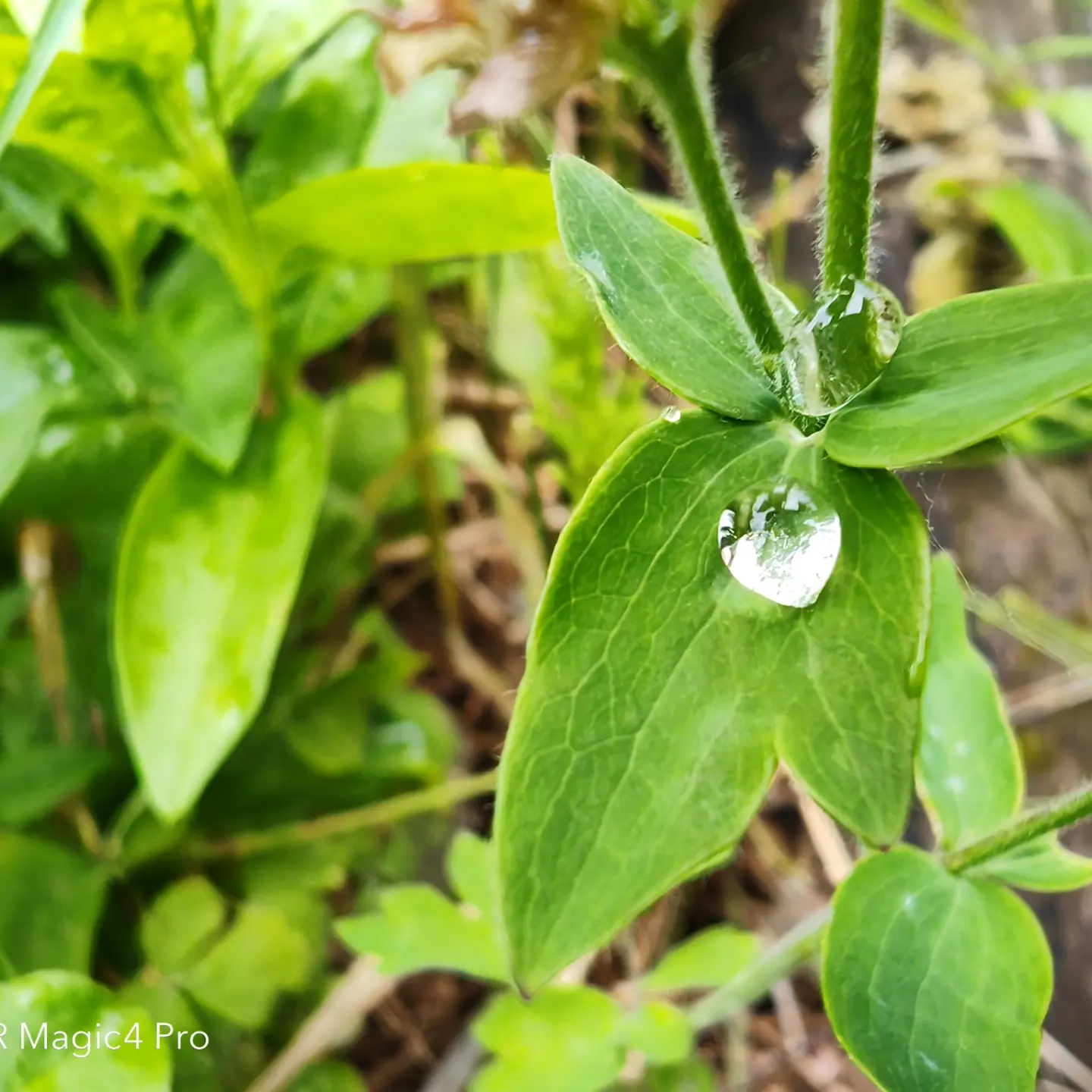 pspan-stylefont-size18pxBonjour-à-tous-strongles