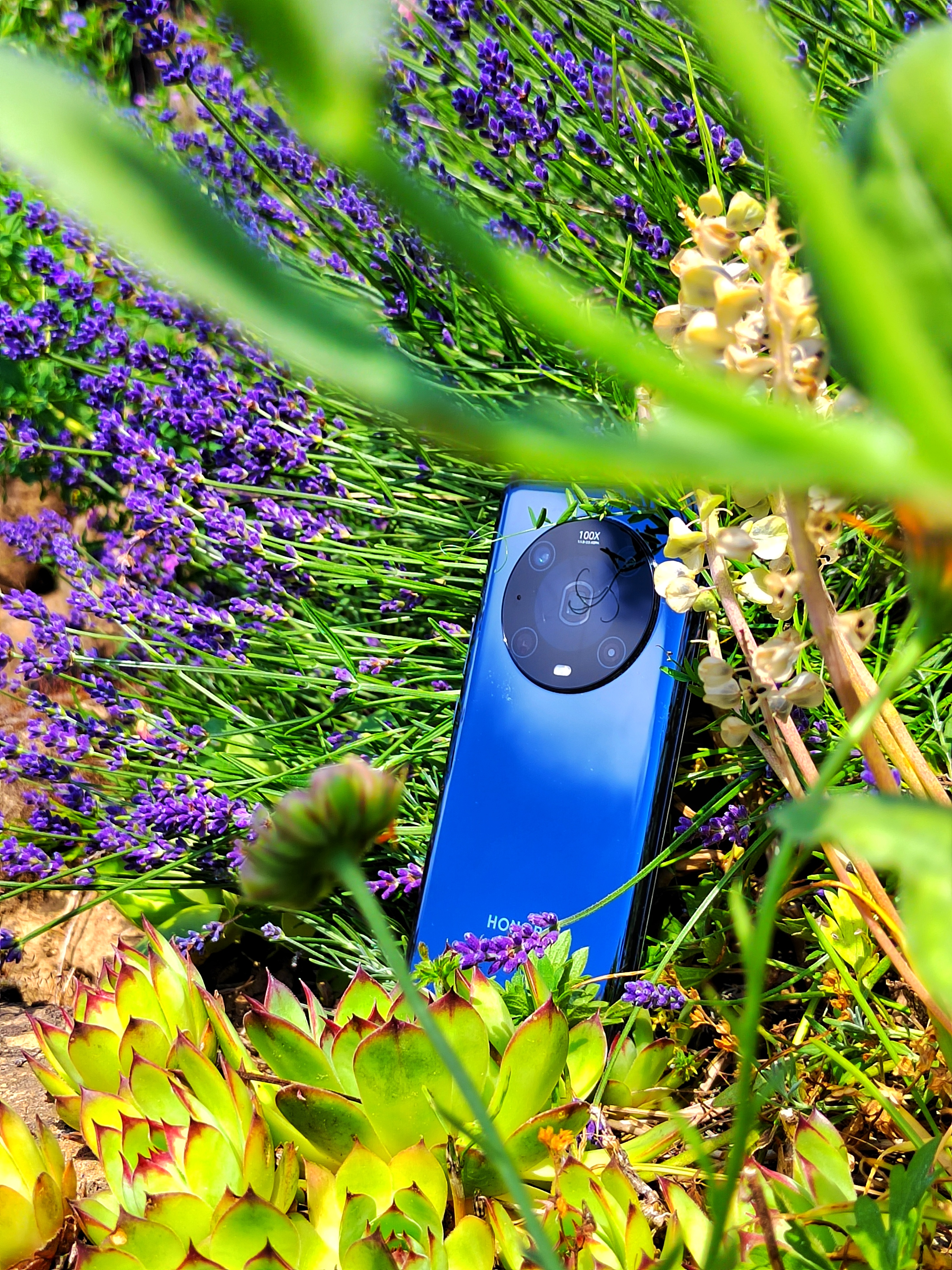 pspan-stylefont-size18pxBonjour-à-tous-strongles