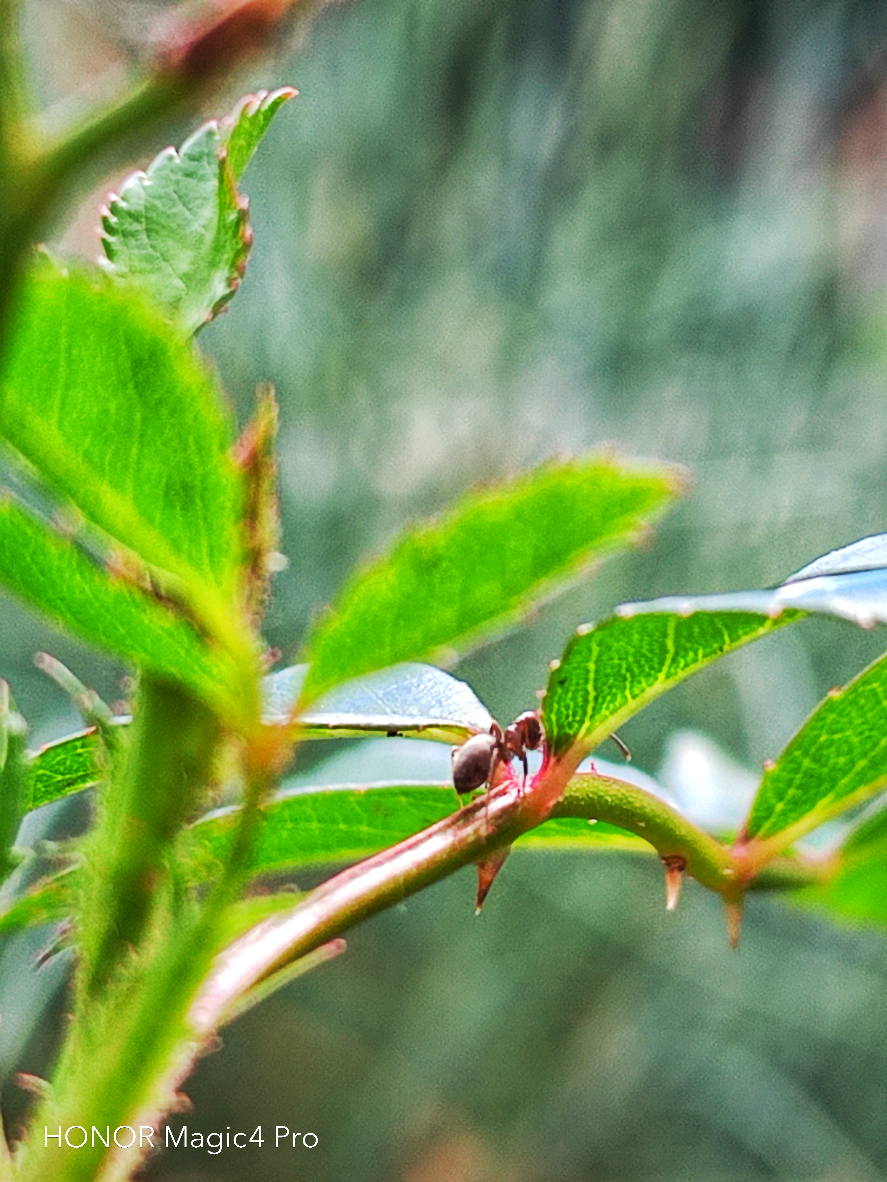 pspan-stylefont-size18pxBonjour-à-tous-strongles