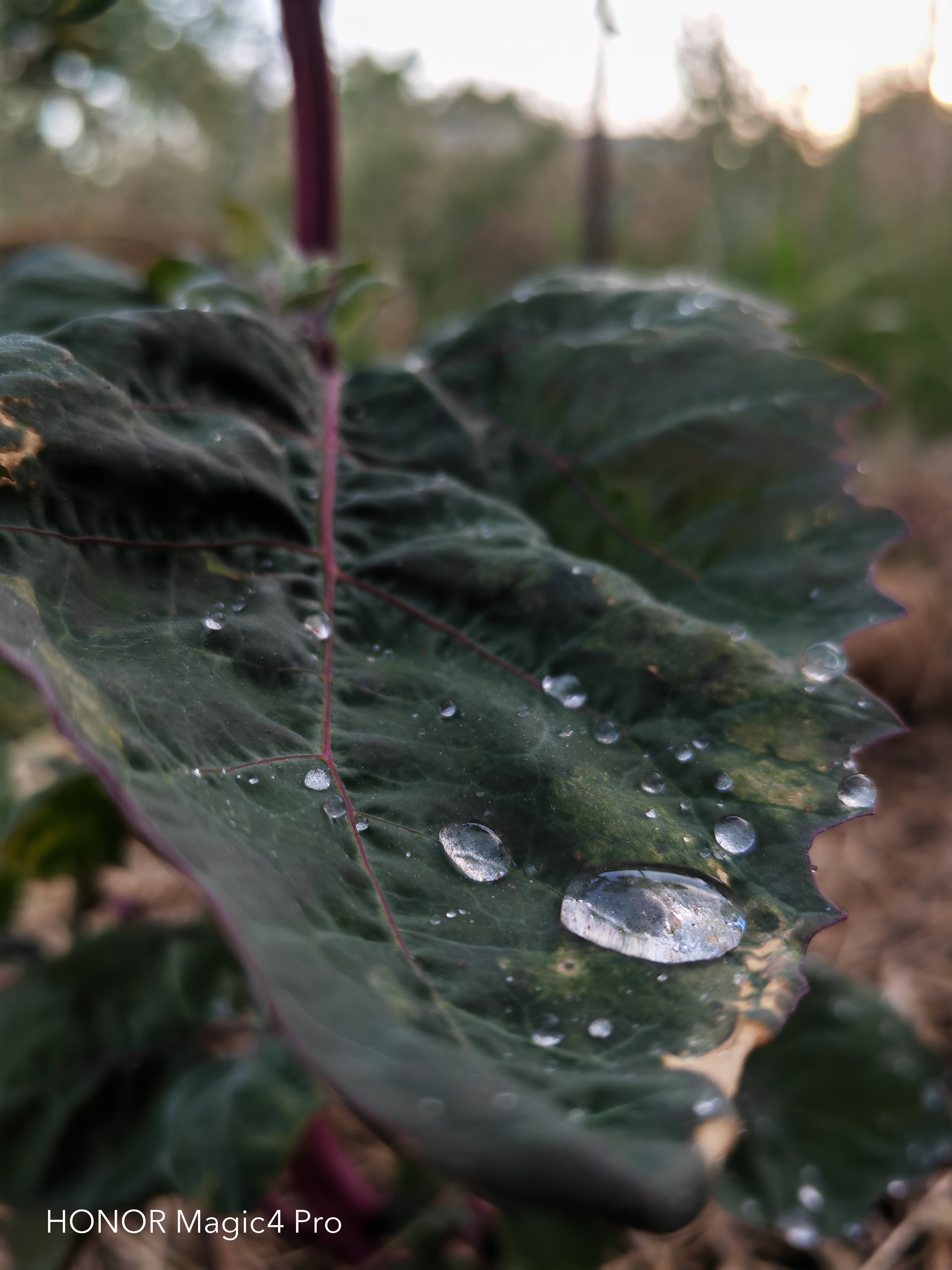 pspan-styleletter-spacing-009pxstrongBonjourànbsptousnbspchers