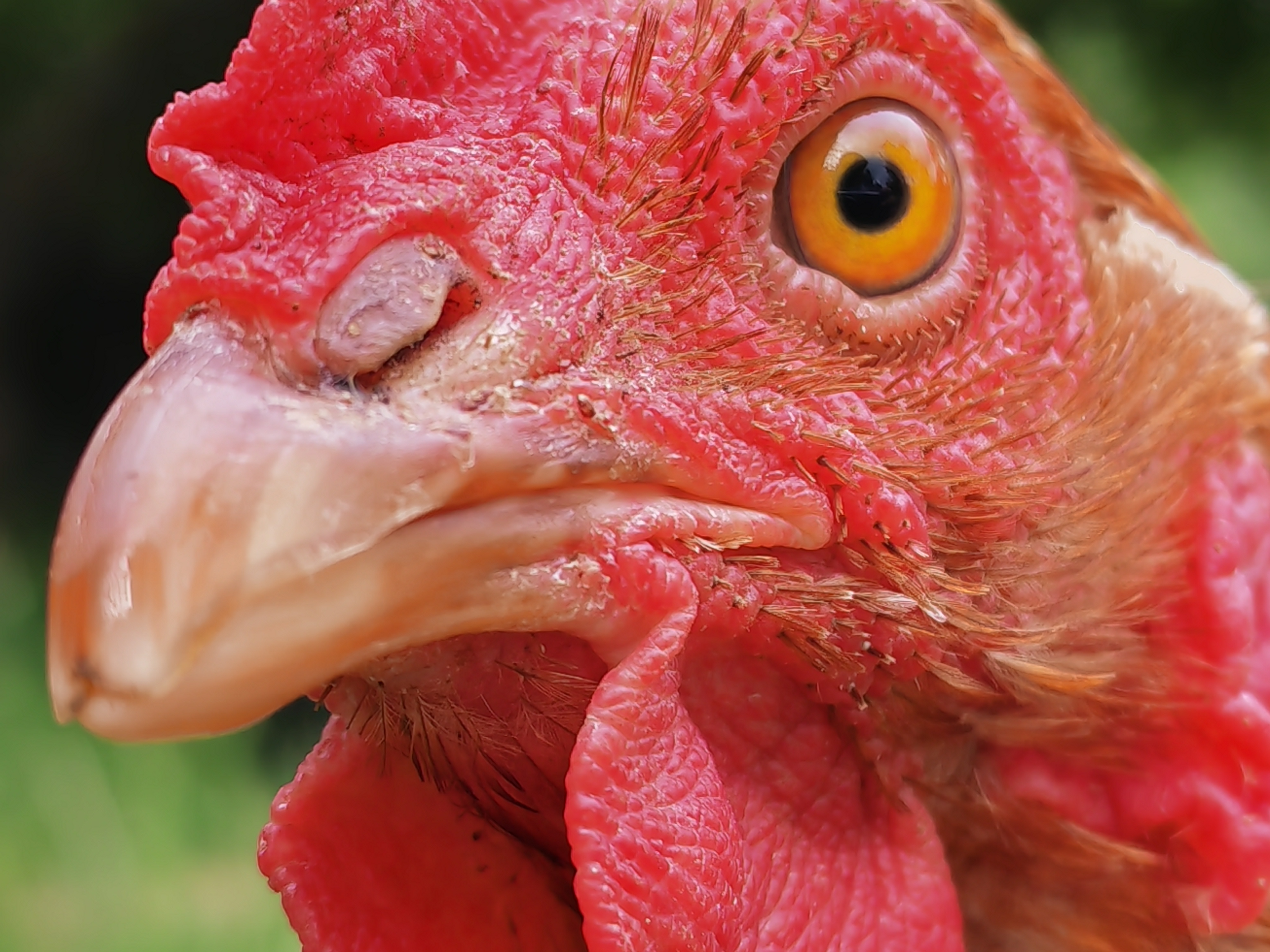 pspan-styleletter-spacing-009pxstrongBonjourànbsptousnbspchers