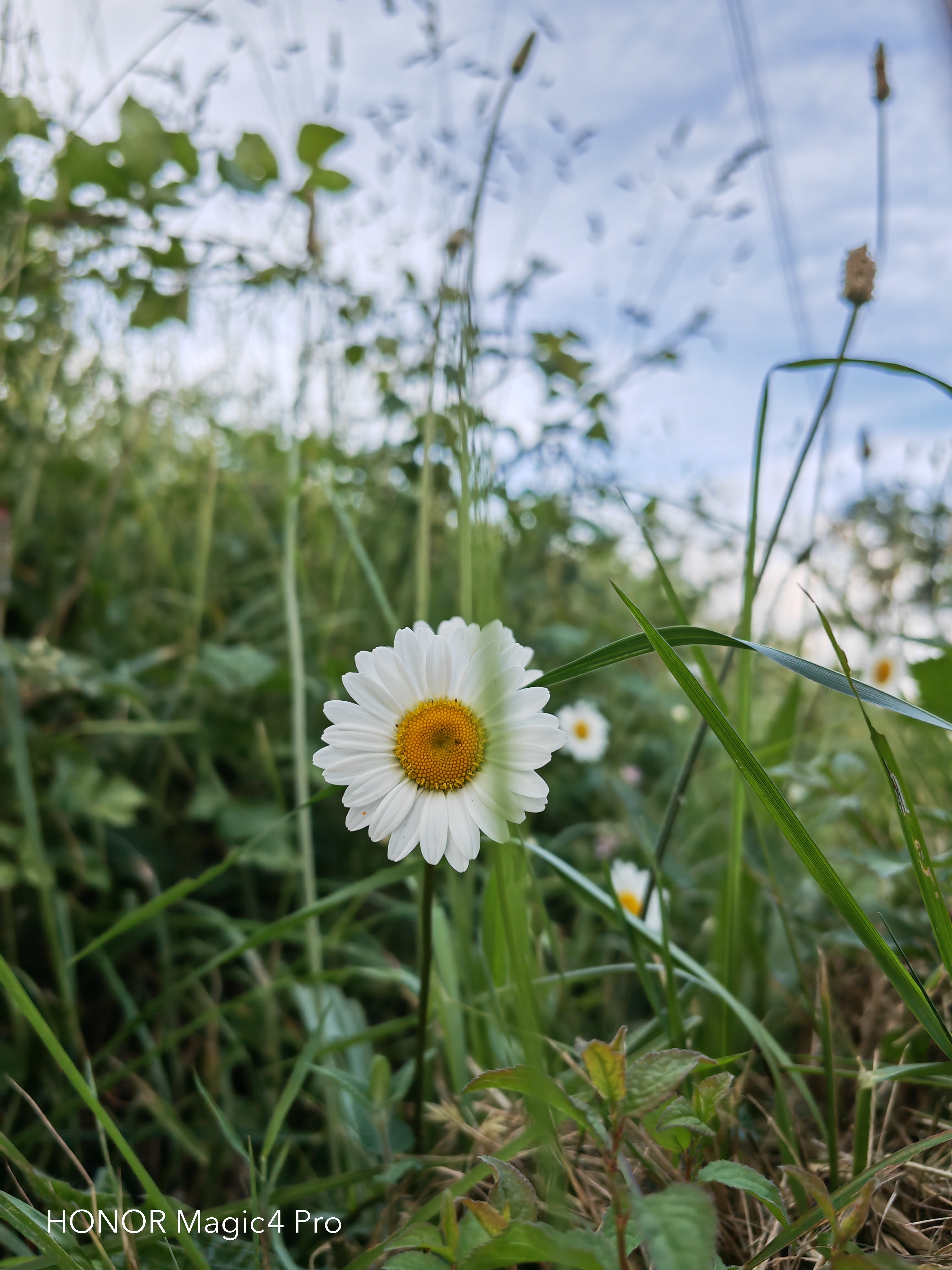 pspan-styleletter-spacing-009pxstrongBonjourànbsptousnbspchers