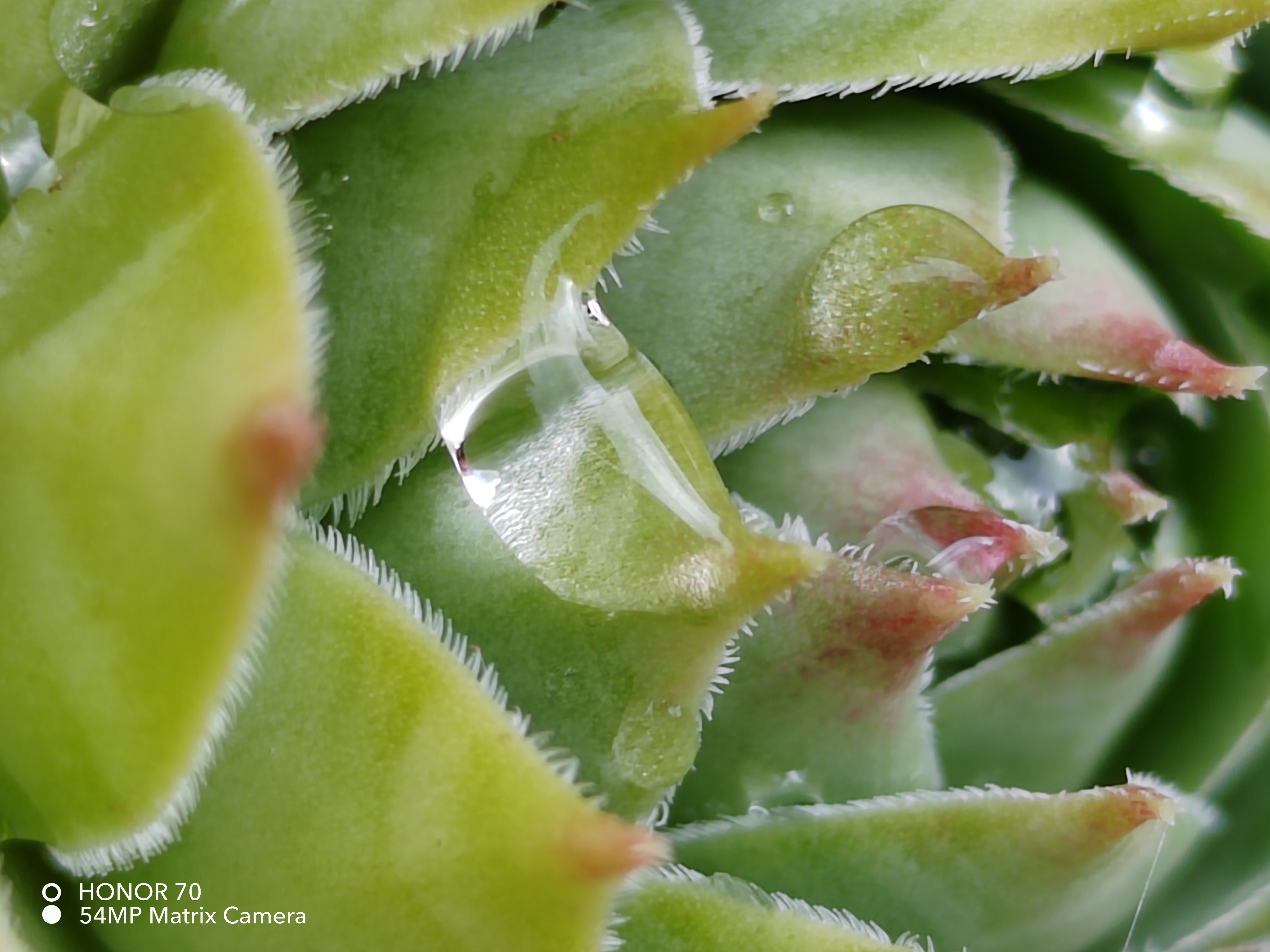 pspan-stylefont-size18pxHello-astrong-tous-les-fans