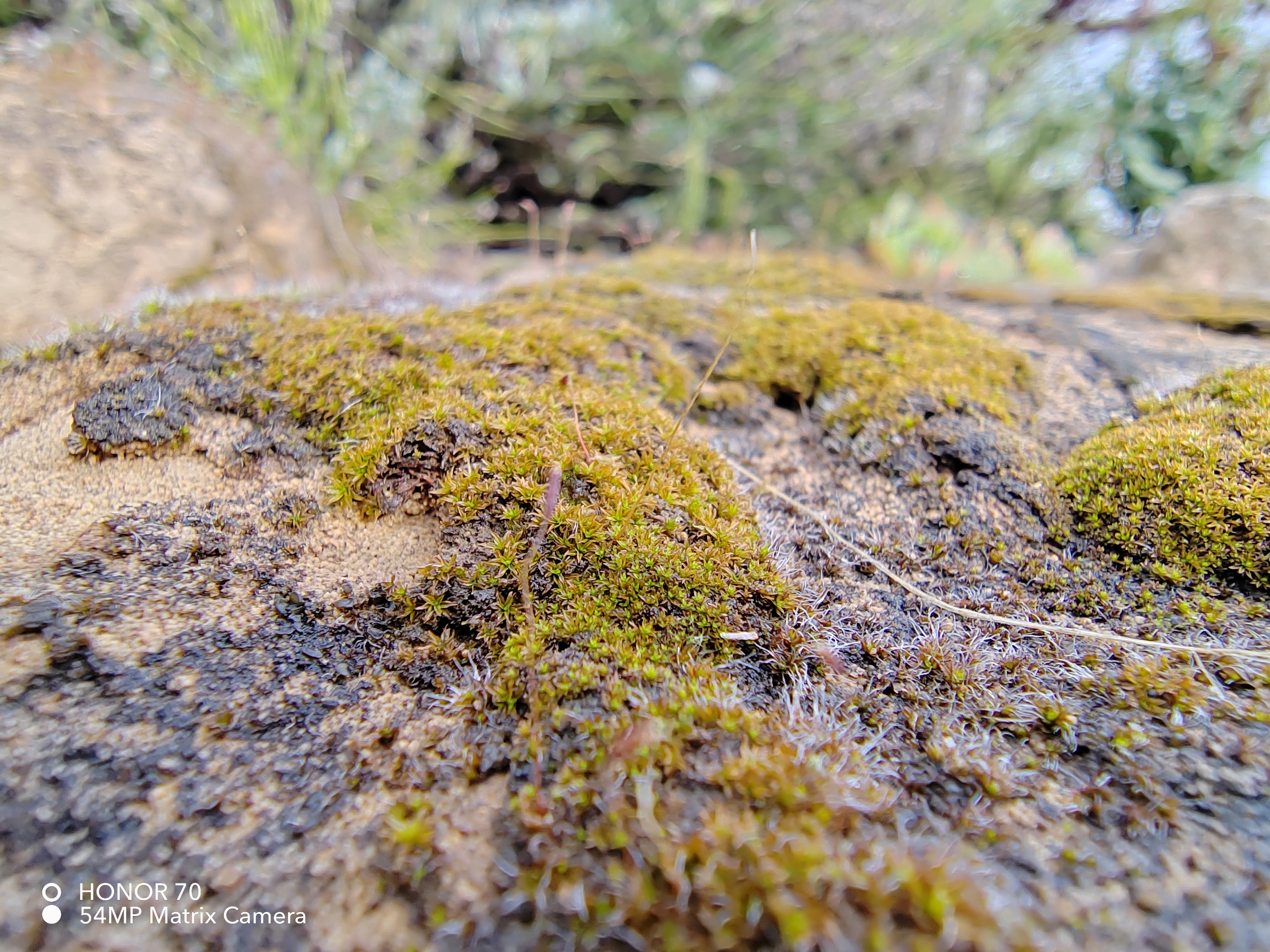 pspan-stylefont-size18pxHello-astrong-tous-les-fans