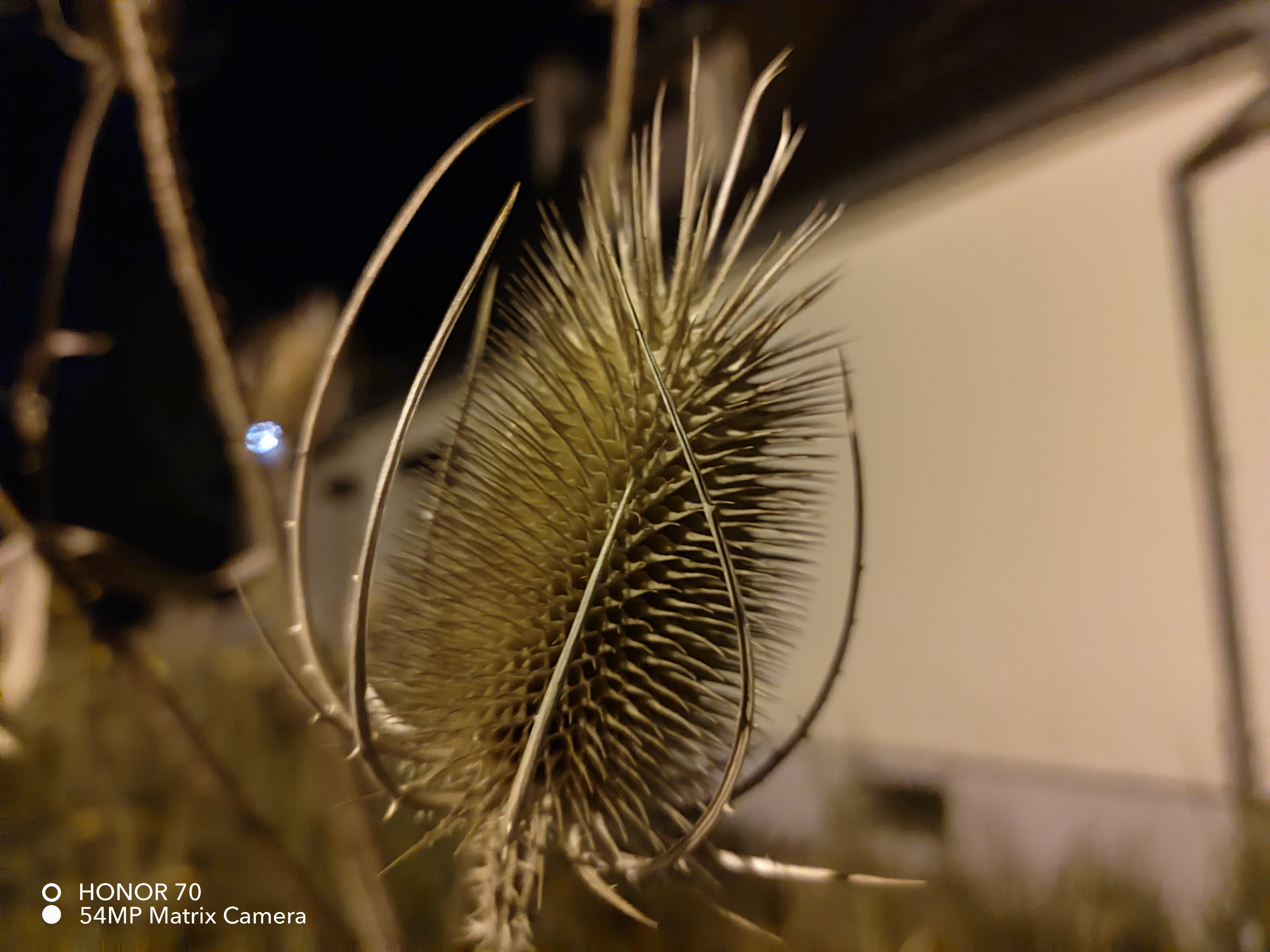 pspan-stylefont-size18pxHello-astrong-tous-les-fans