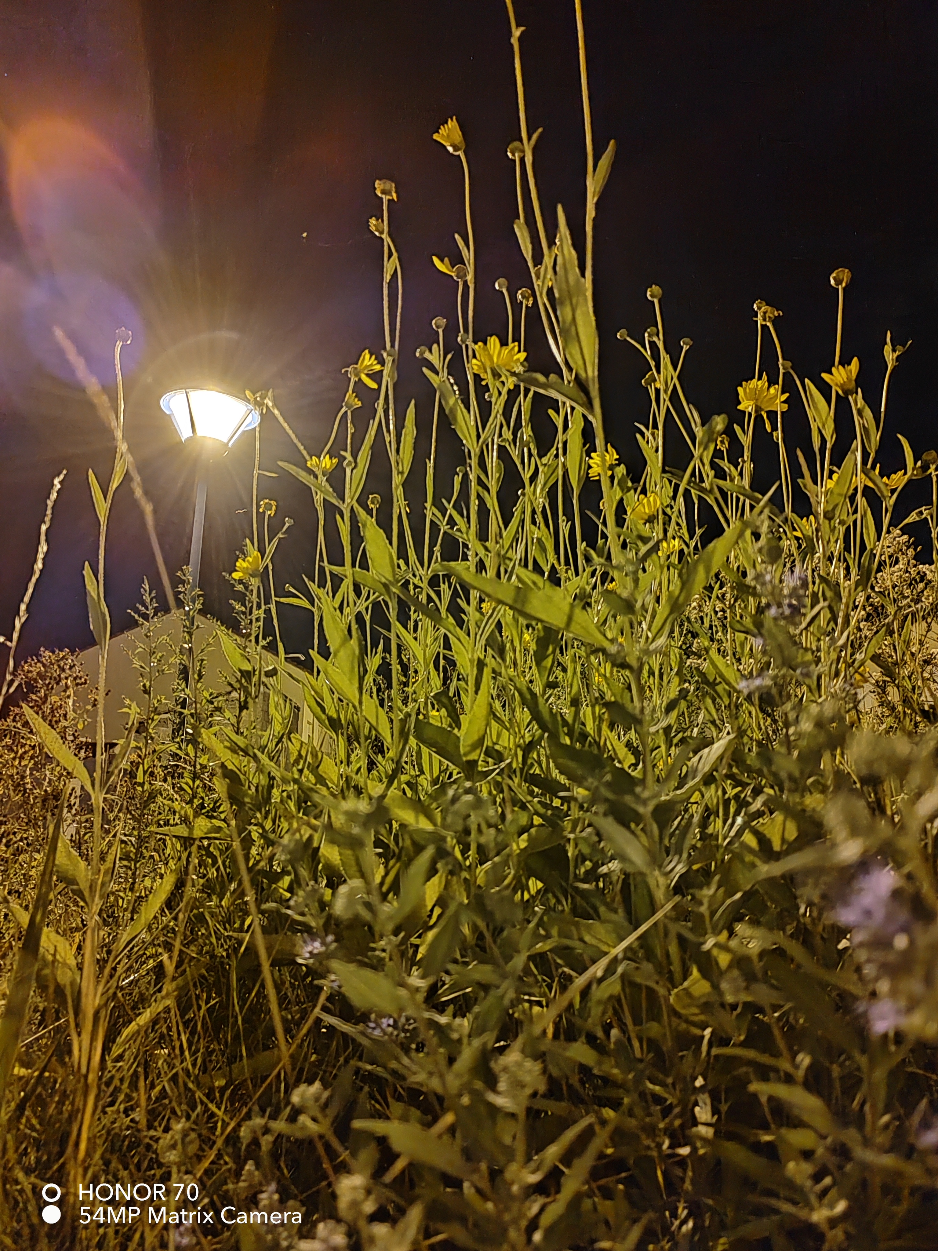 pspan-stylefont-size18pxHello-astrong-tous-les-fans