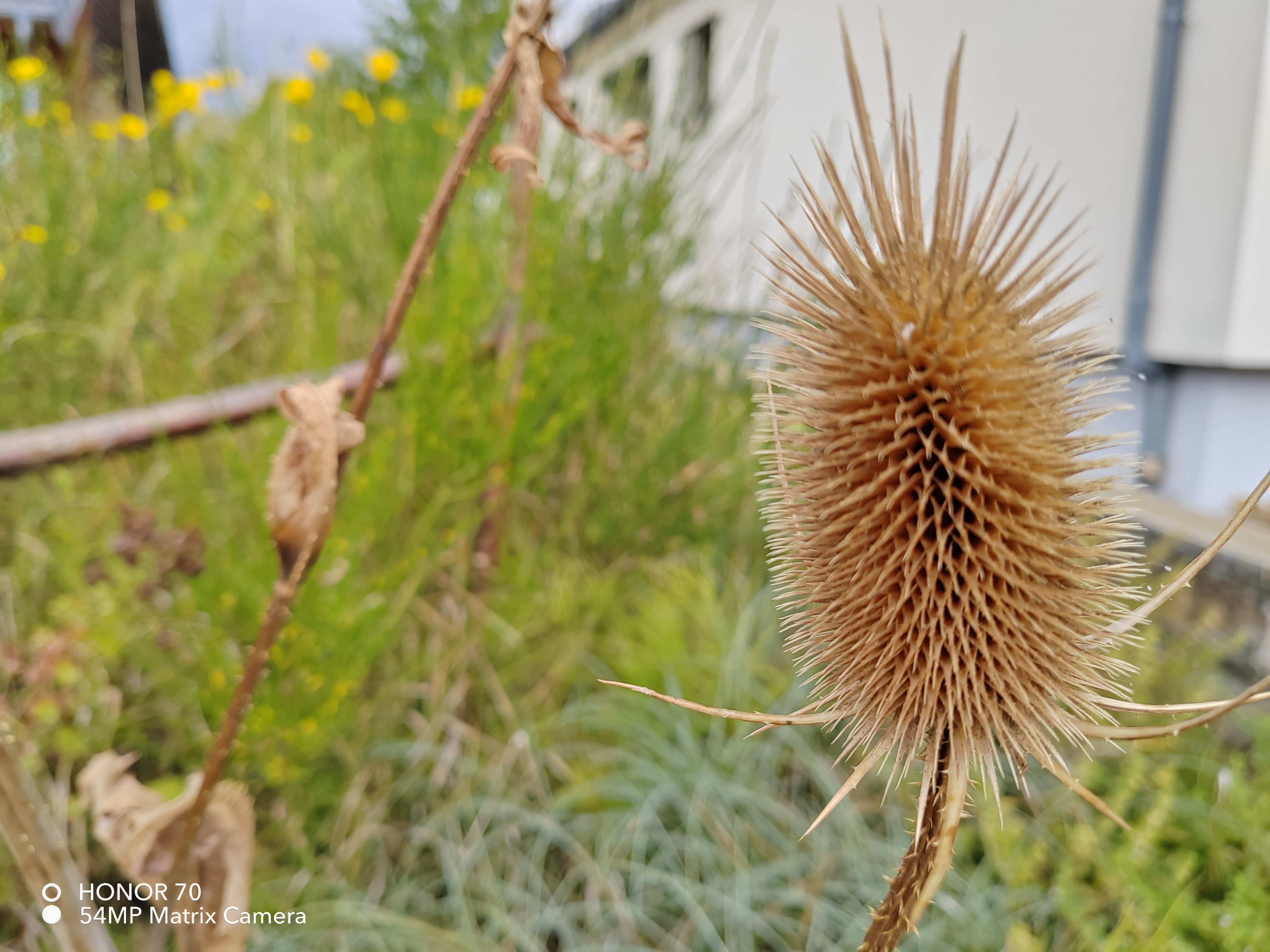 pspan-stylefont-size18pxHello-astrong-tous-les-fans