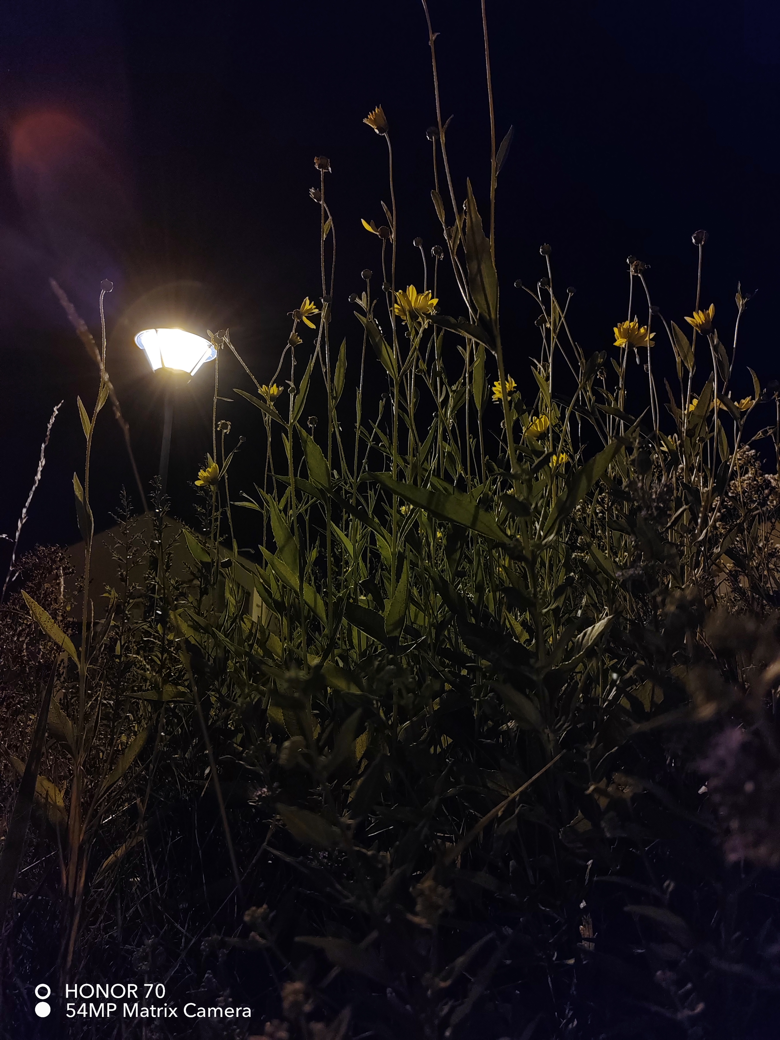 pspan-stylefont-size18pxHello-astrong-tous-les-fans