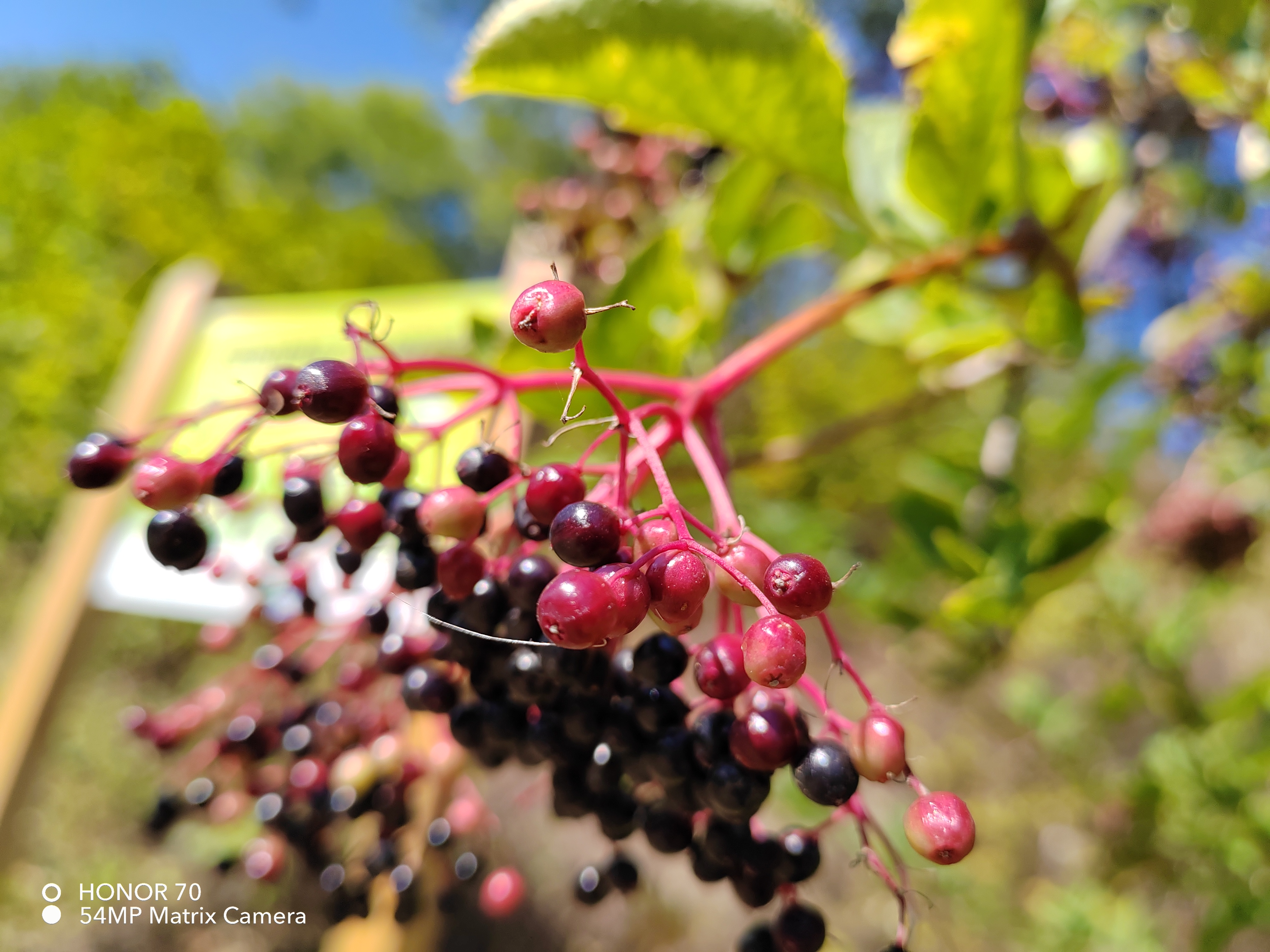 pspan-stylefont-size18pxHello-astrong-tous-les-fans