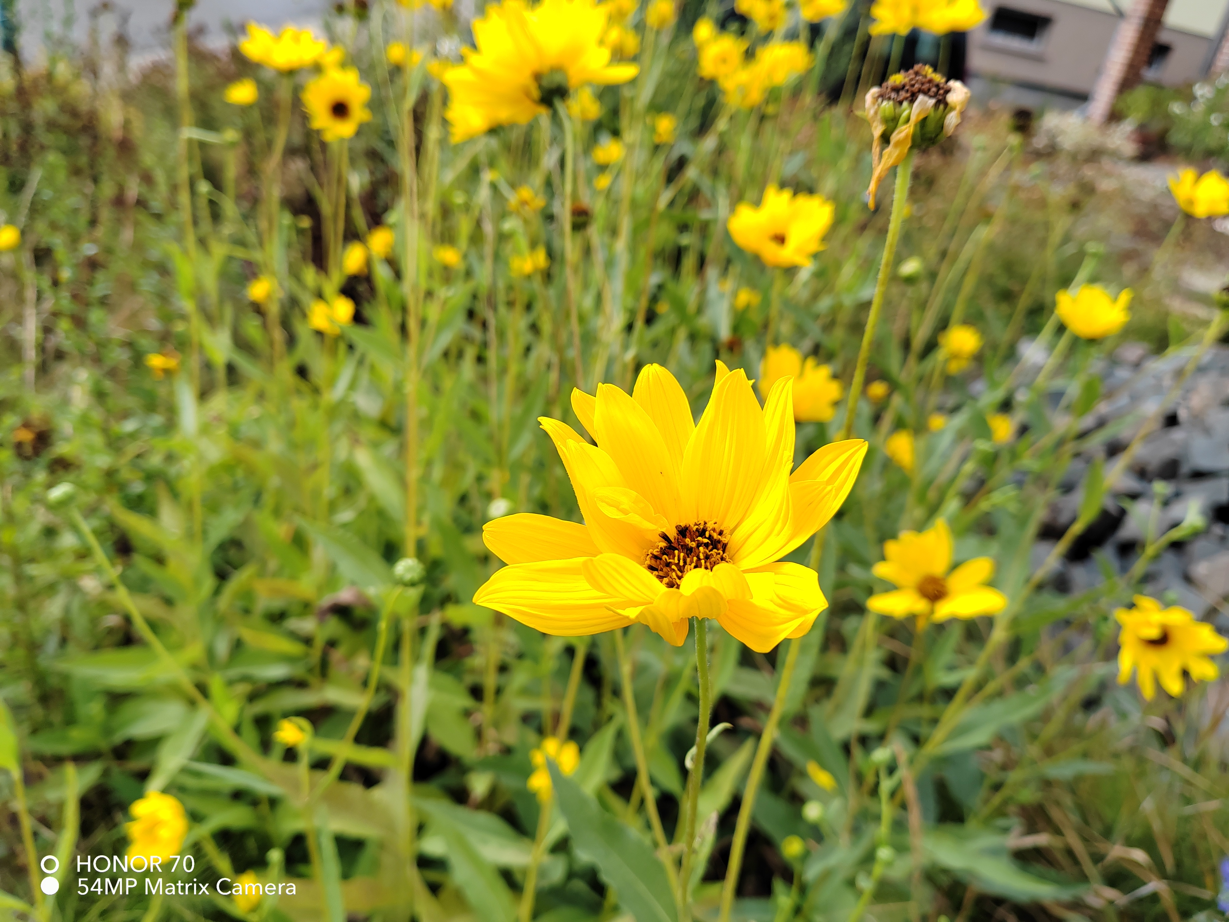 pspan-stylefont-size18pxHello-astrong-tous-les-fans