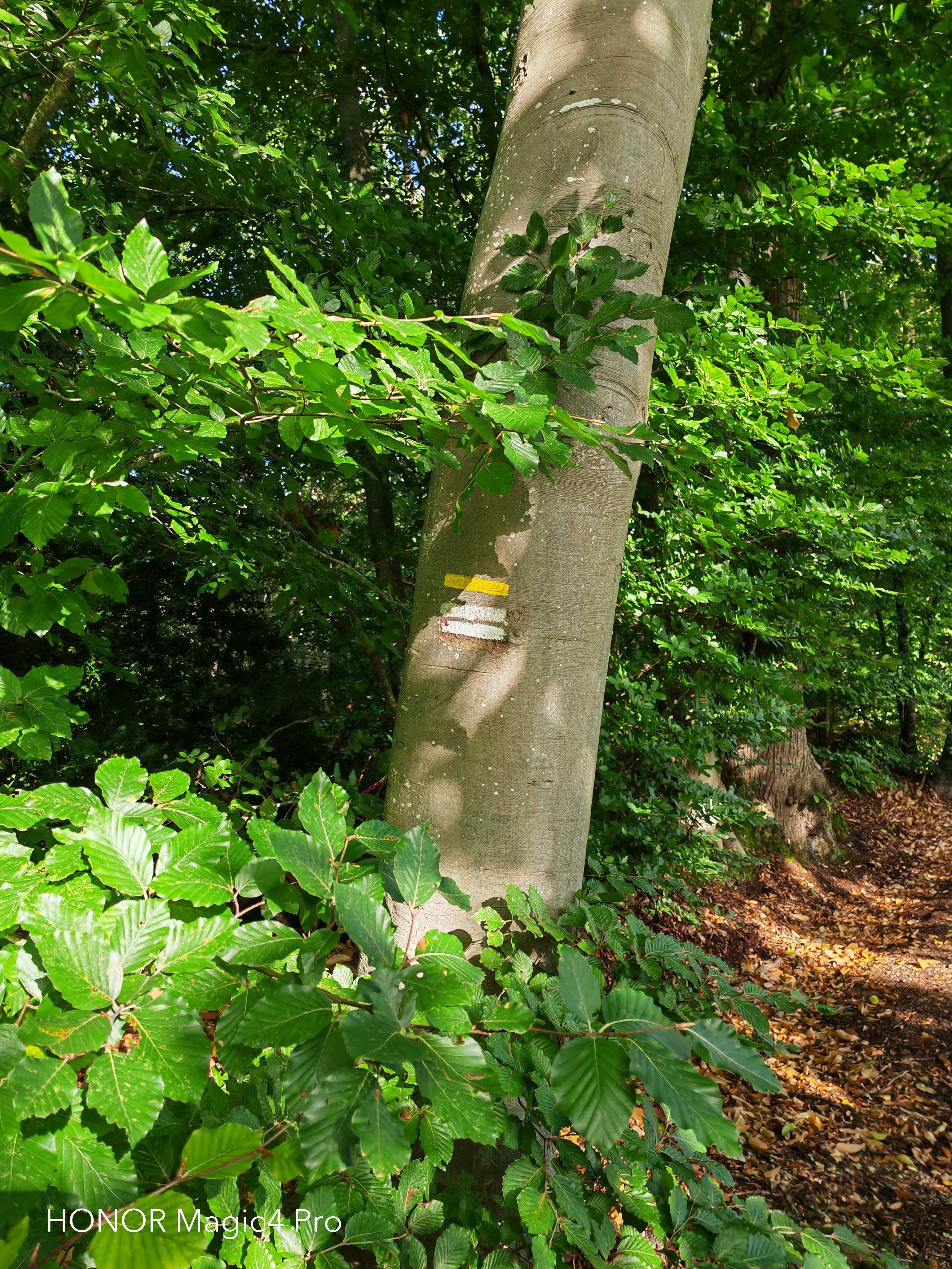 pBonjourppbrppJe-vous-propose-à-nouveau-un-comparatif-photo-entre-le