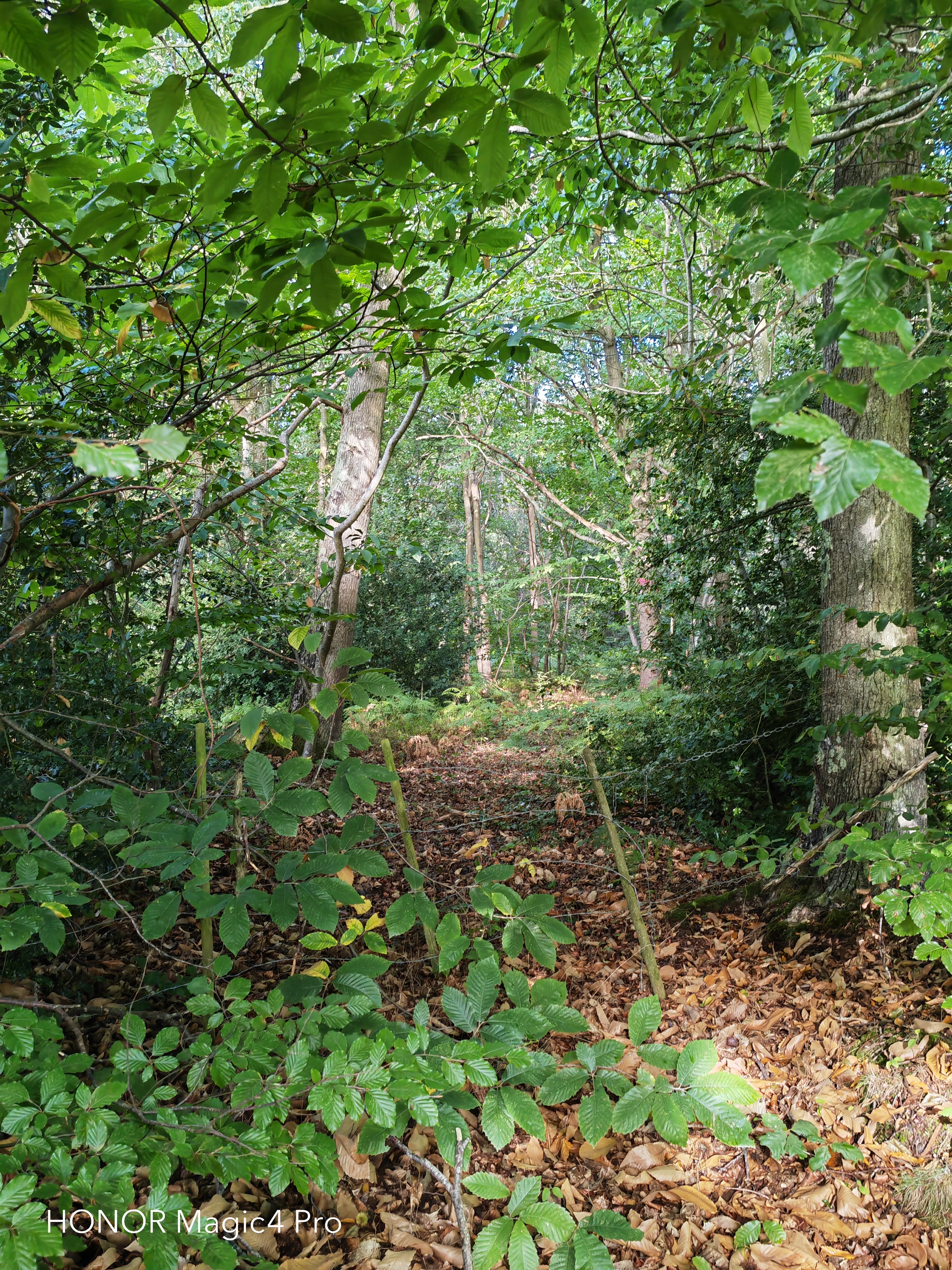 pBonjourppbrppJe-vous-propose-à-nouveau-un-comparatif-photo-entre-le