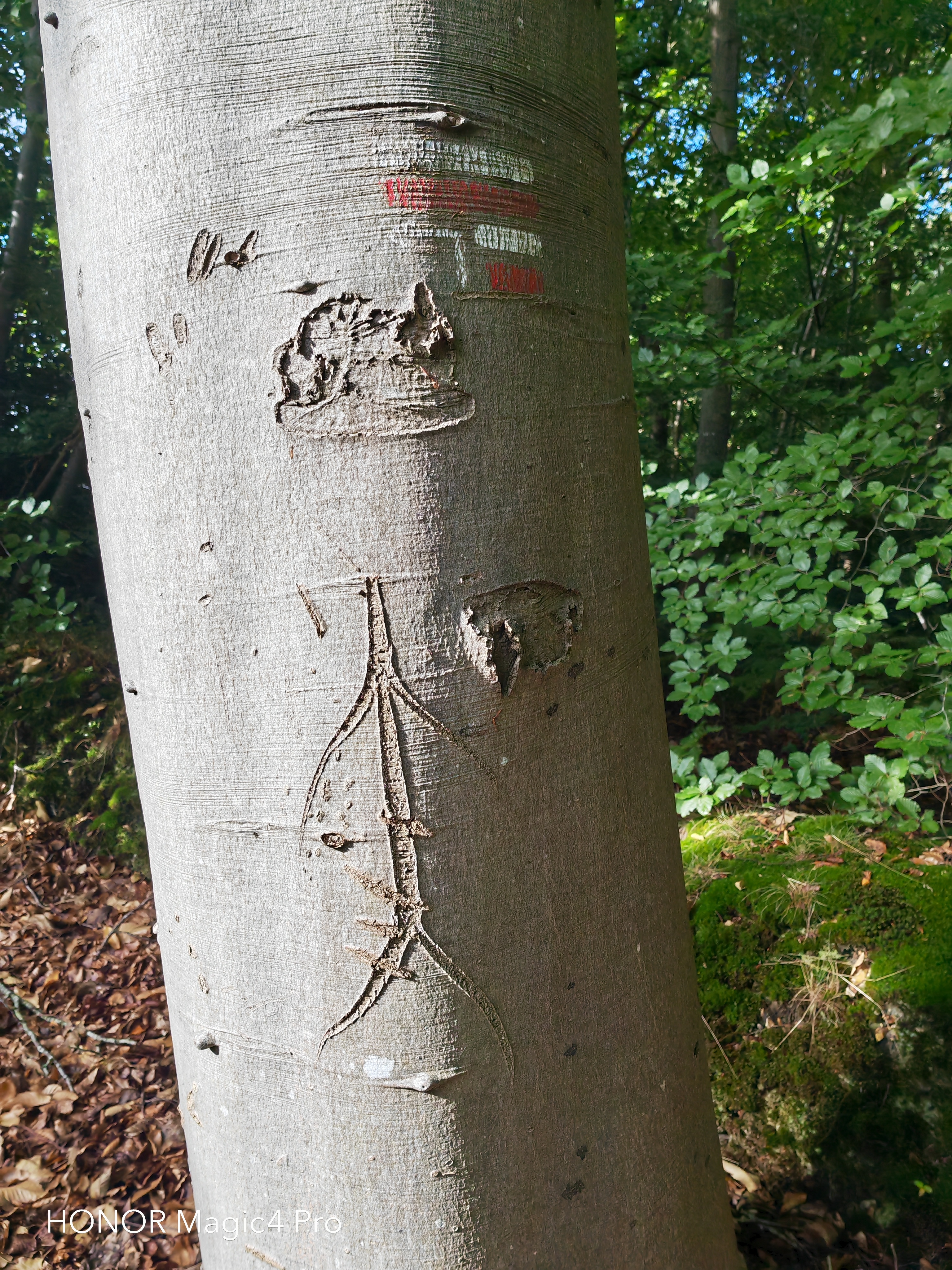 pBonjourppbrppJe-vous-propose-à-nouveau-un-comparatif-photo-entre-le